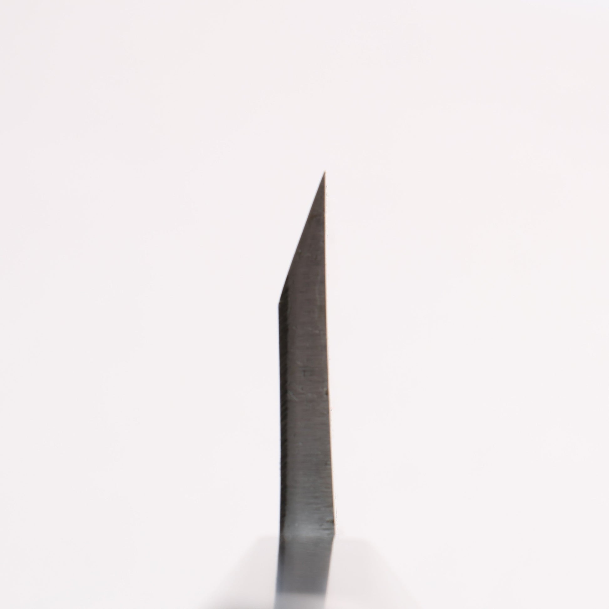 源 昭忠 白ニ鋼 相出刃 165mm 黒檀 (口輪：黒水牛)柄 - 清助刃物