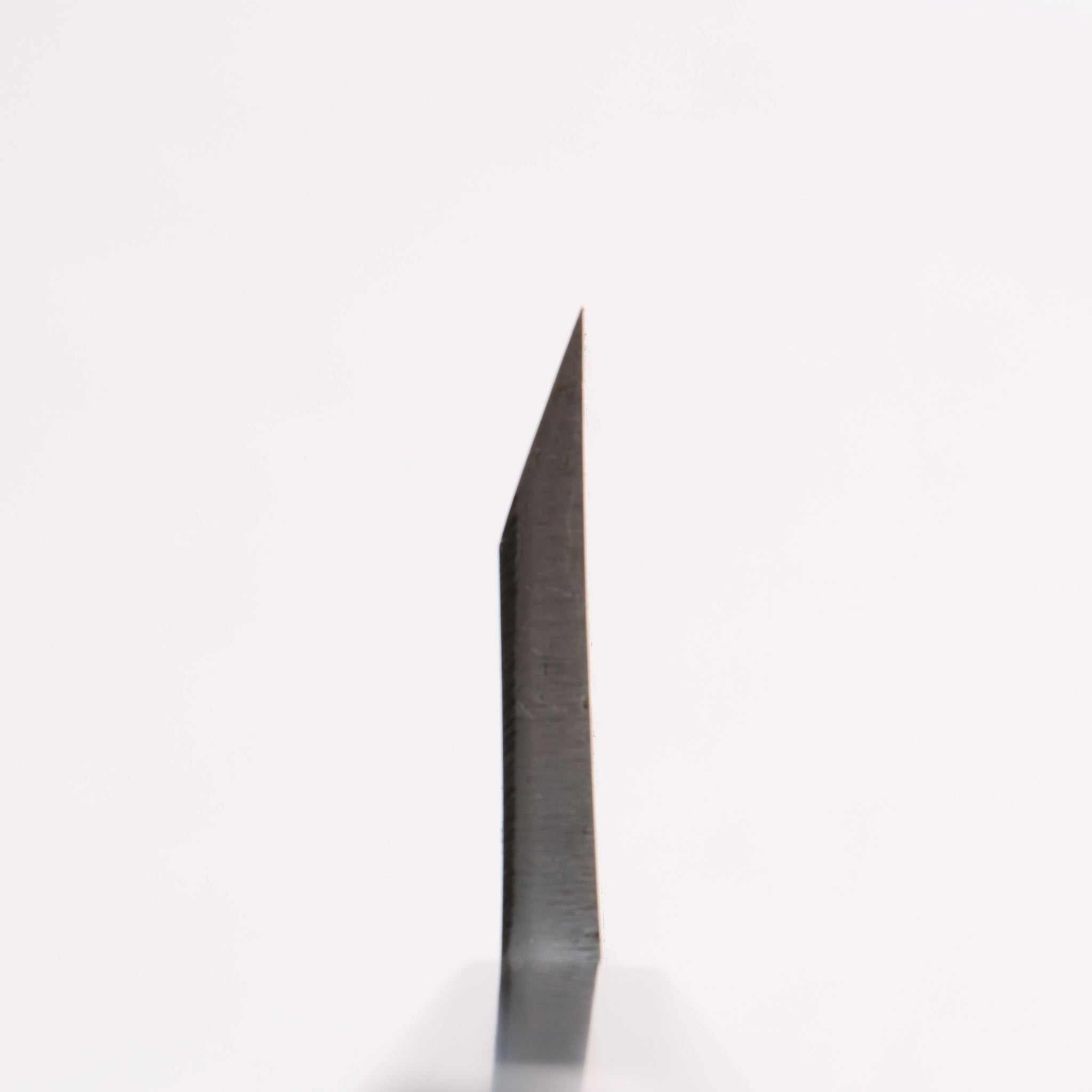 源 昭忠 白ニ鋼 相出刃 165mm 黒檀 (口輪：黒水牛)柄 - 清助刃物
