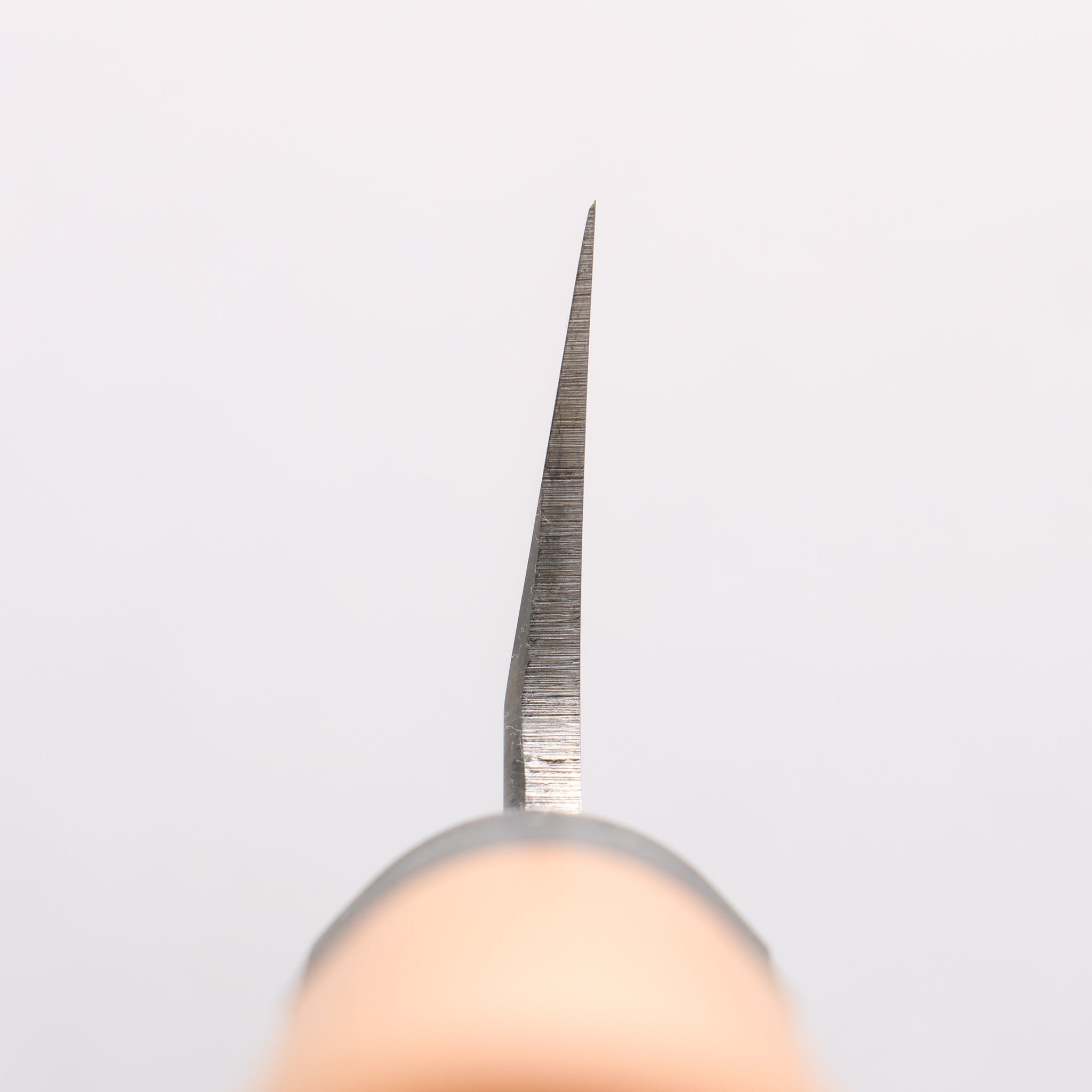 堺 孝行 モリブデン鋼（MOL） 薄刃包丁 プラスチック抗菌柄 - 清助刃物