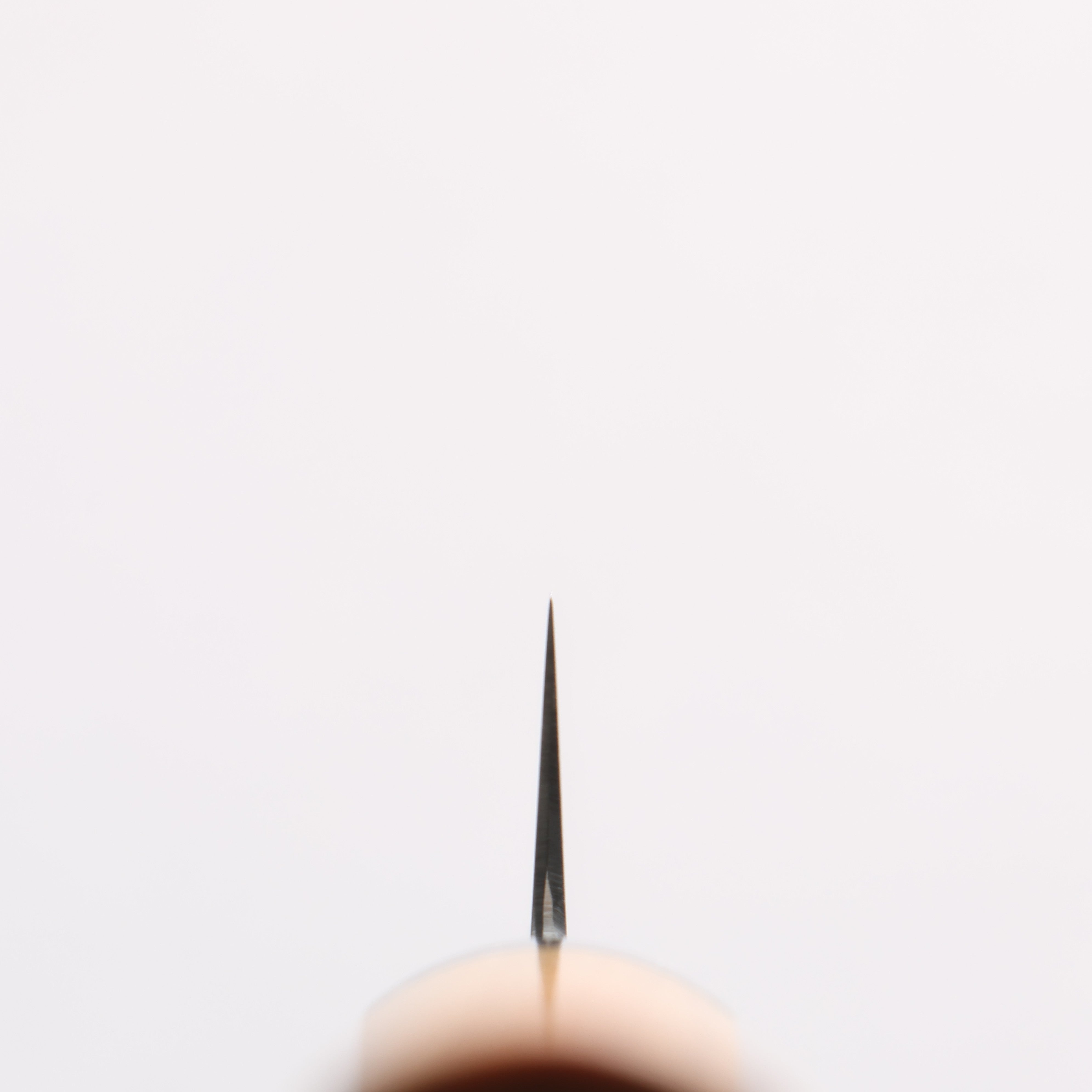 清助 SG2 ペティーナイフ 120mm 黄金檀柄 - 清助刃物