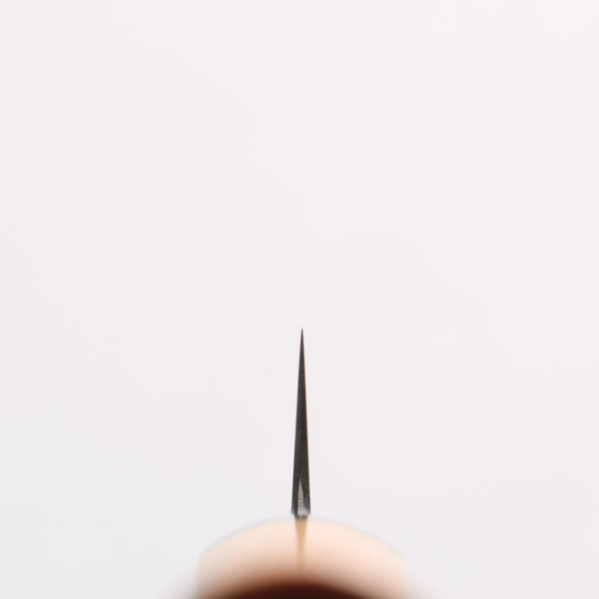清助 SG2 ペティーナイフ 120mm 黄金檀柄 - 清助刃物