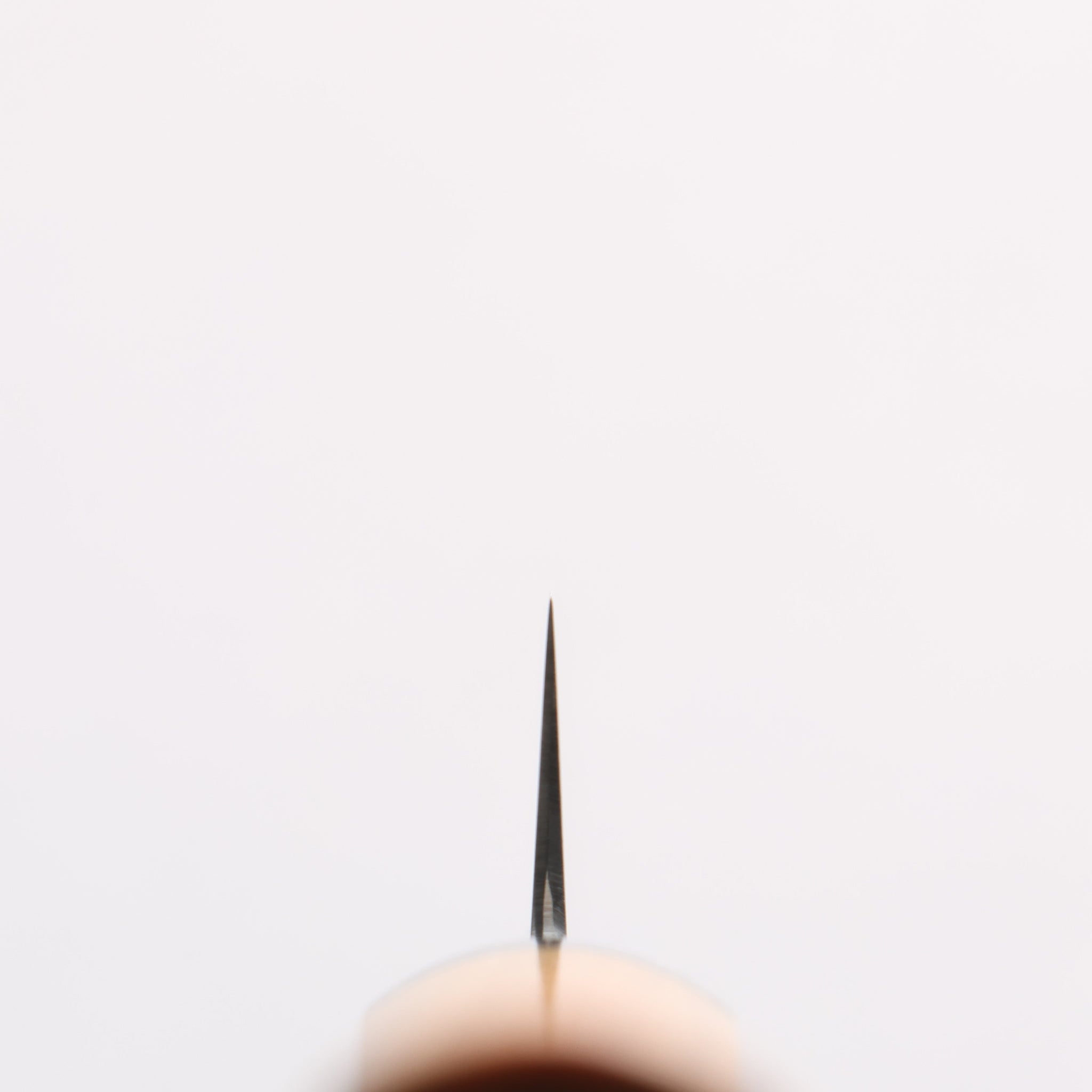 清助 SG2 ペティーナイフ 120mm 黄金檀柄 - 清助刃物
