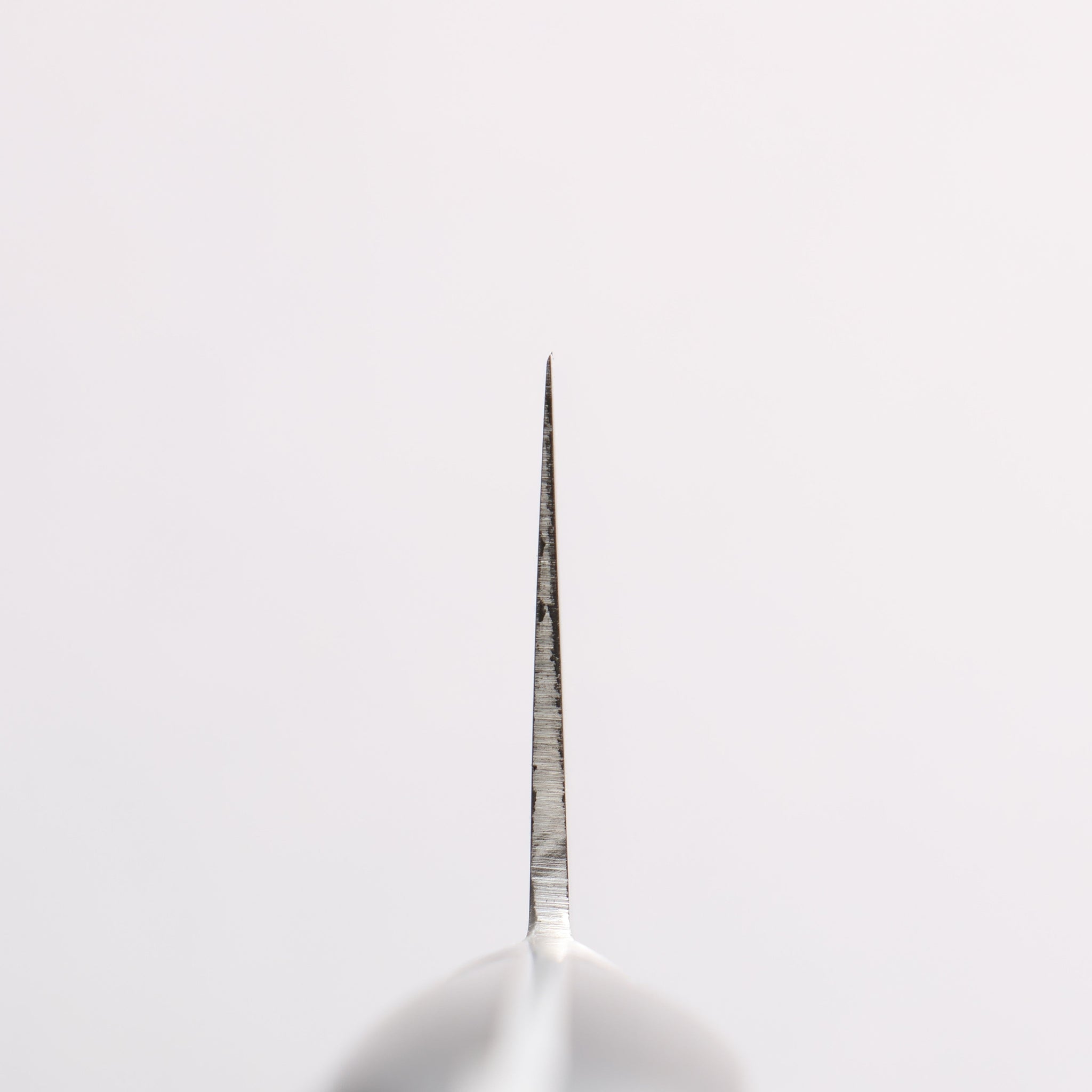 清助 ステンレス鋼 牛刀包丁 210mm 黒合板柄 - 清助刃物