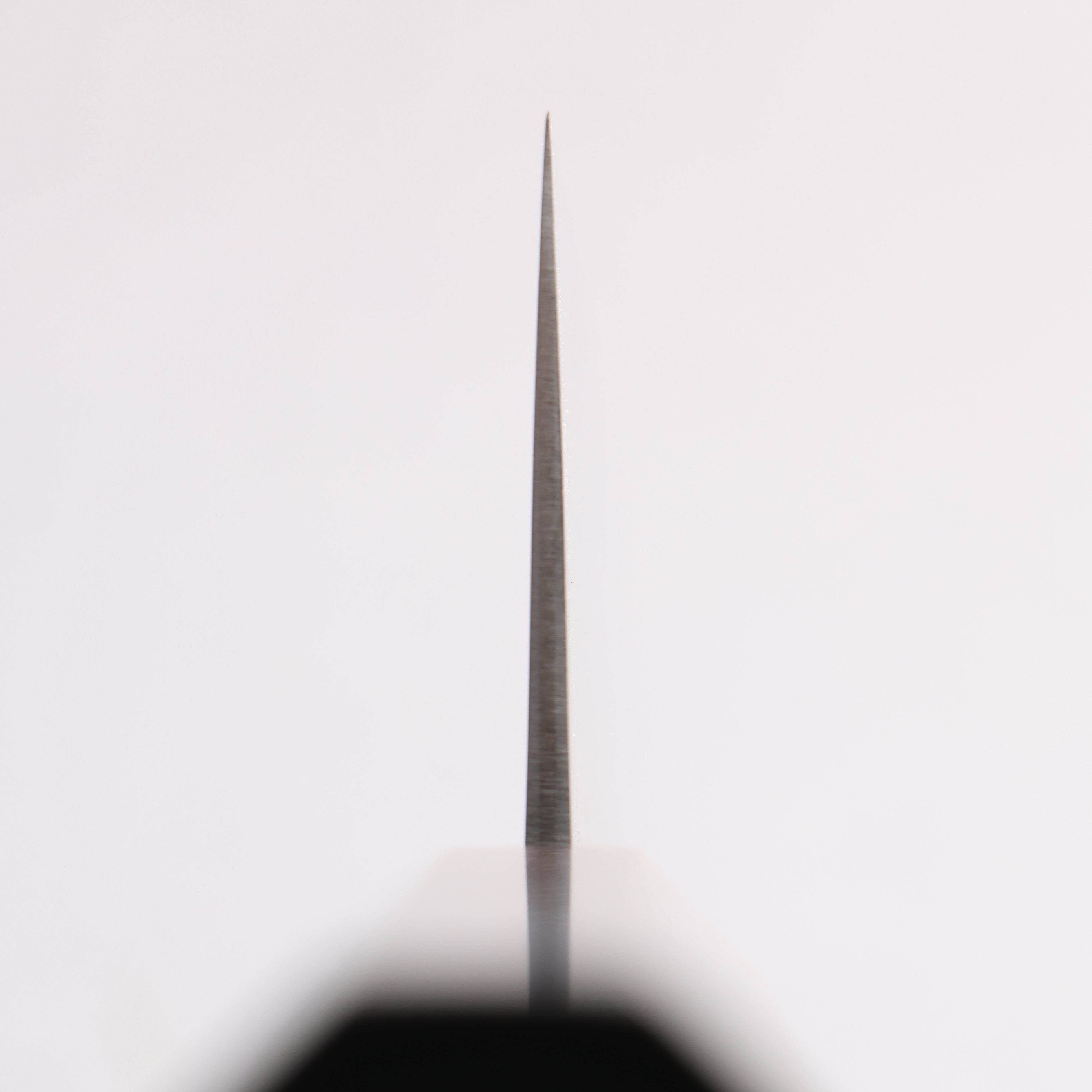 清助 SG2 牛刀包丁 270mm 黒檀柄 - 清助刃物