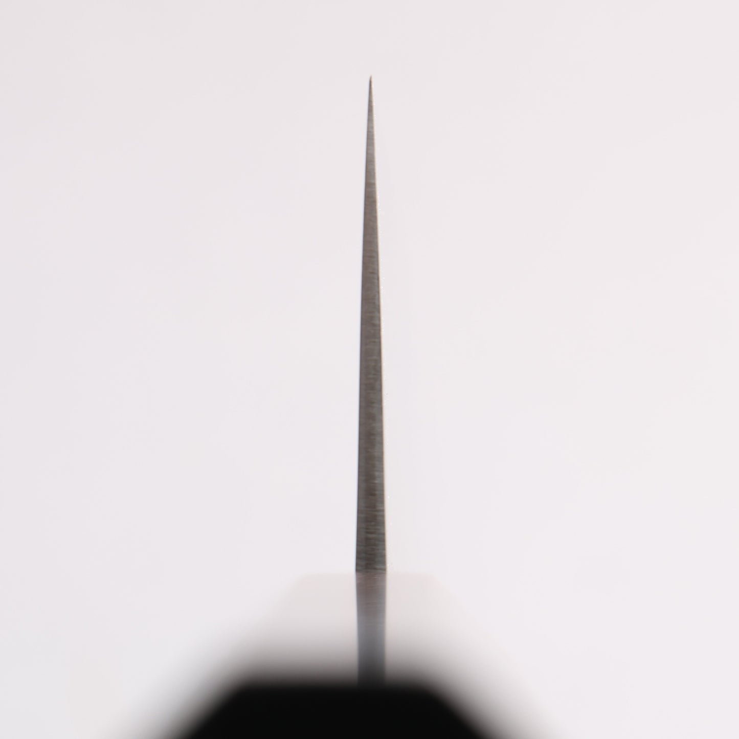清助 SG2 牛刀包丁 270mm 黒檀柄 - 清助刃物