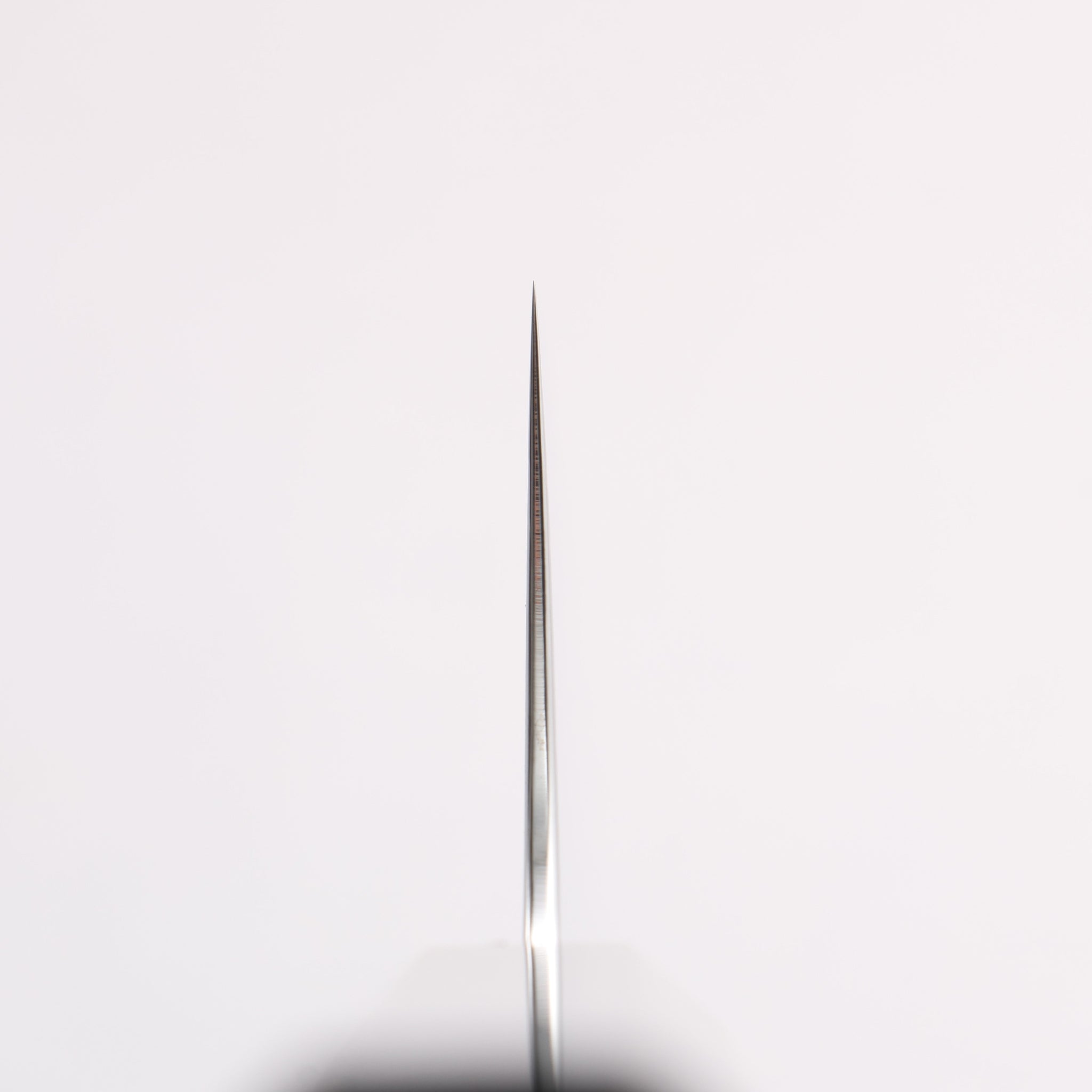 清助 SG2 ダマスカス 磨き仕上げ 牛刀包丁 240mm 黒檀柄 - 清助刃物