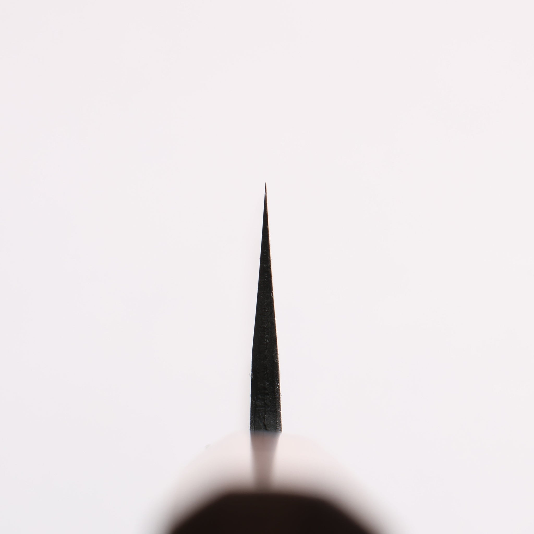 山本 直 青紙 黒打 筋引包丁 270mm ウォルナット柄 - 清助刃物