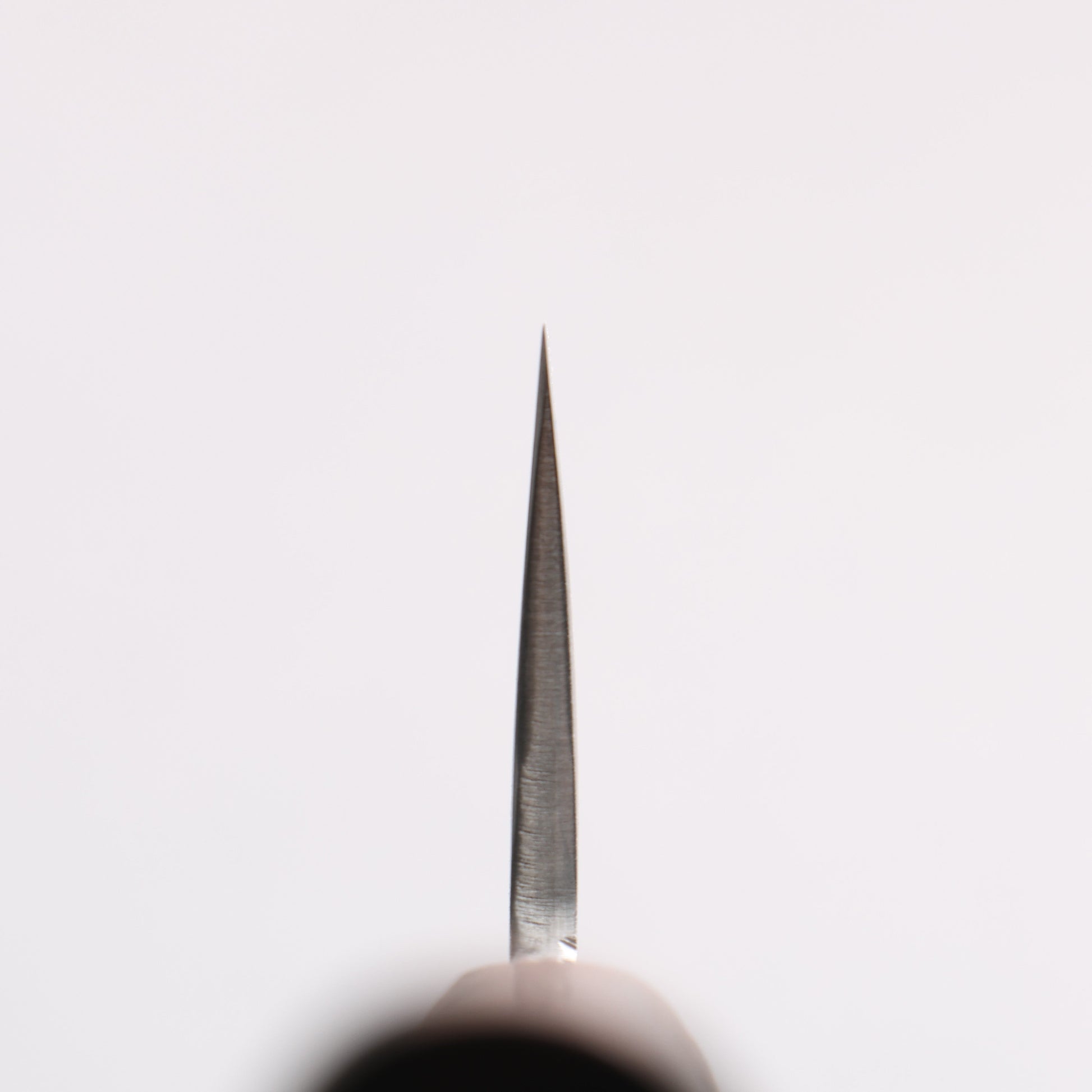 田中 誠貴 瞬（まじろ） 銀三鋼 三徳包丁 165mm 黒檀柄 - 清助刃物