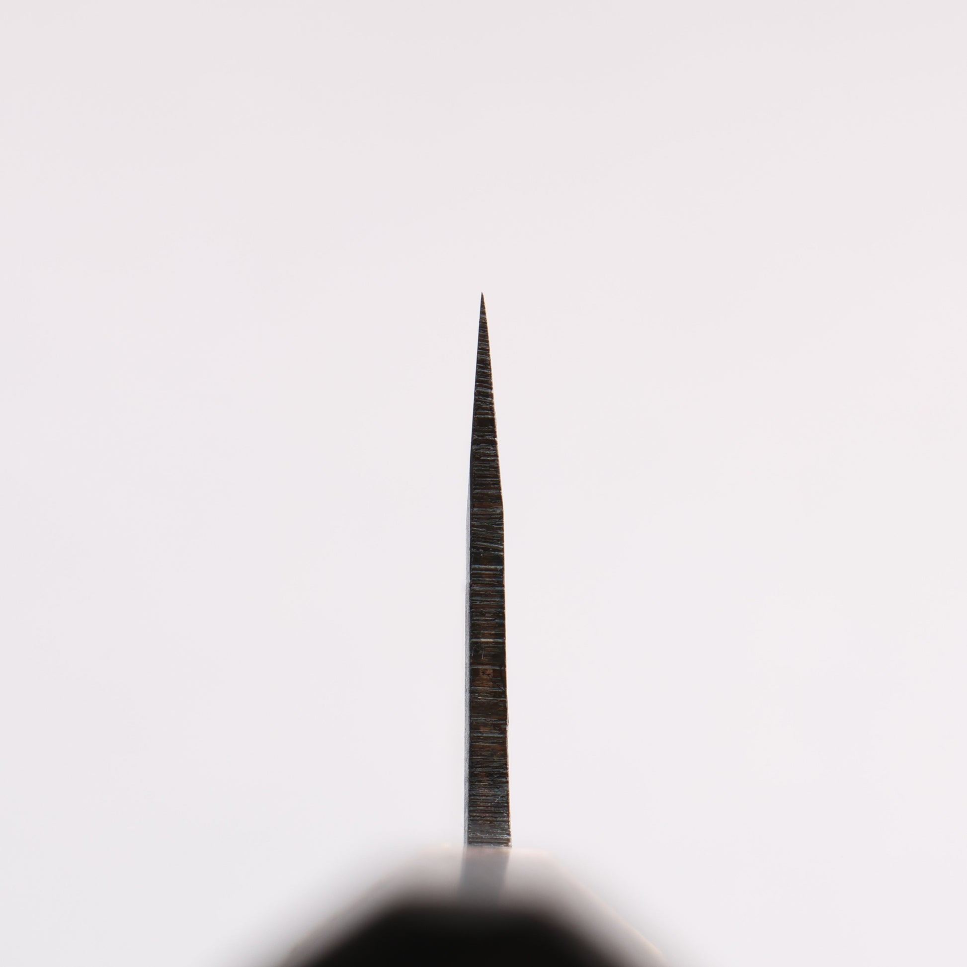 清助 青一鋼 黒仕上げ 牛刀包丁 210mm 焼栗 （口輪：サクラ）柄 - 清助刃物