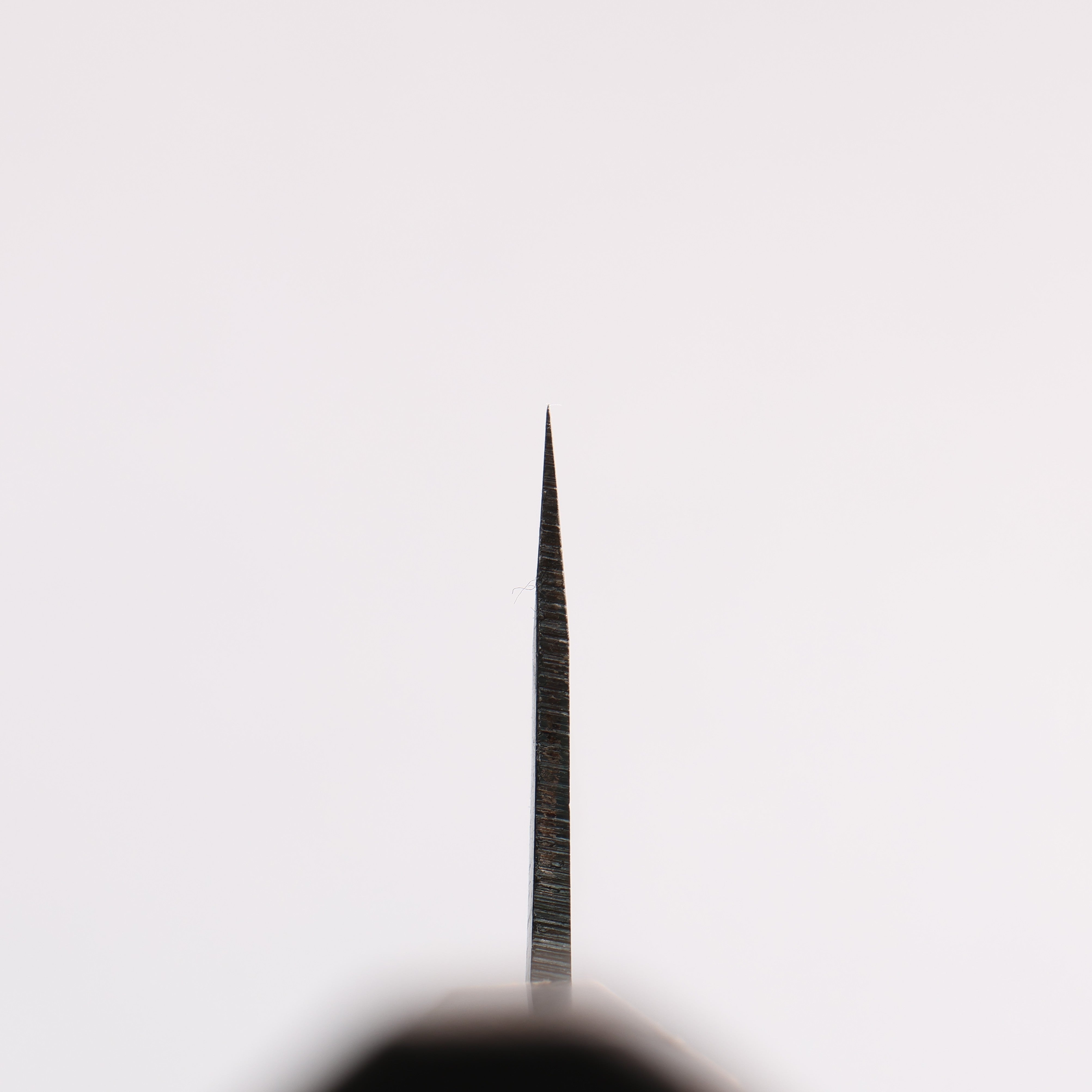 清助 青一鋼 黒仕上げ 切付牛刀包丁 210mm 焼栗 （口輪：サクラ）柄 - 清助刃物