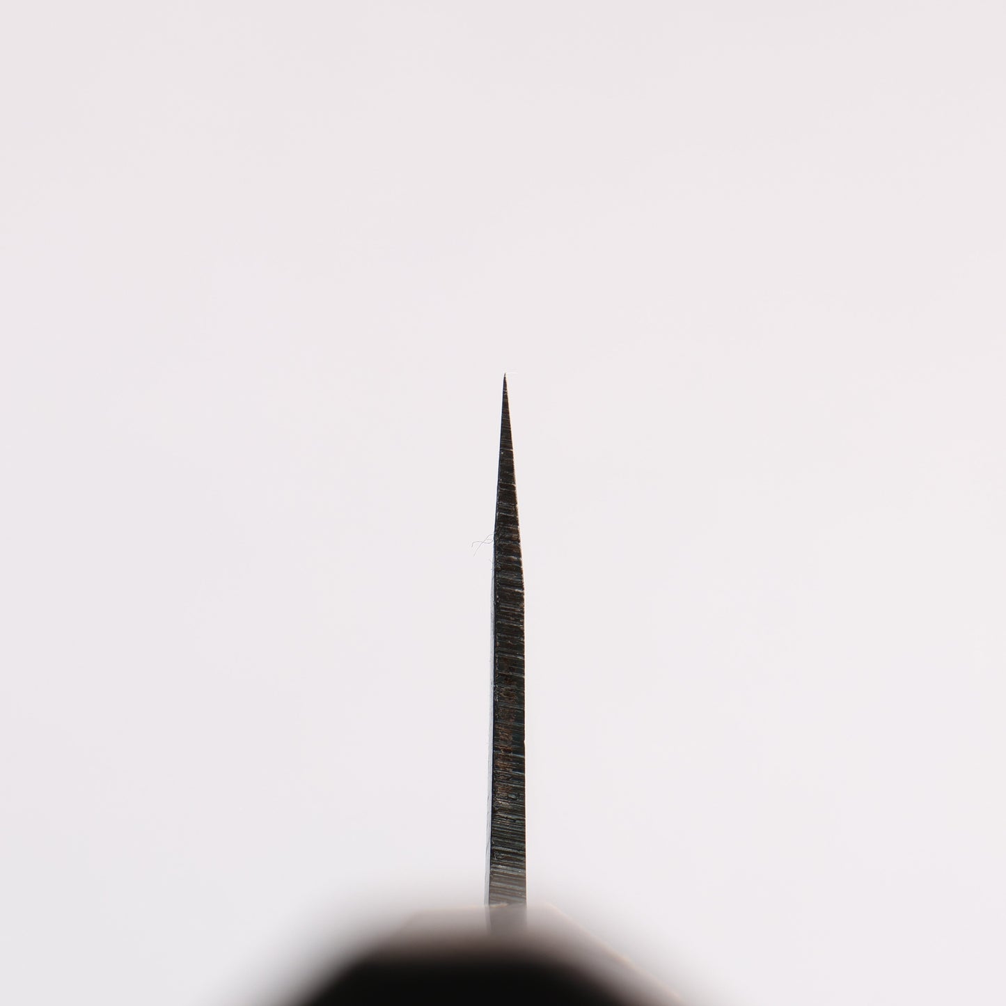 清助 青一鋼 黒仕上げ 切付牛刀包丁 210mm 焼栗 （口輪：サクラ）柄 - 清助刃物