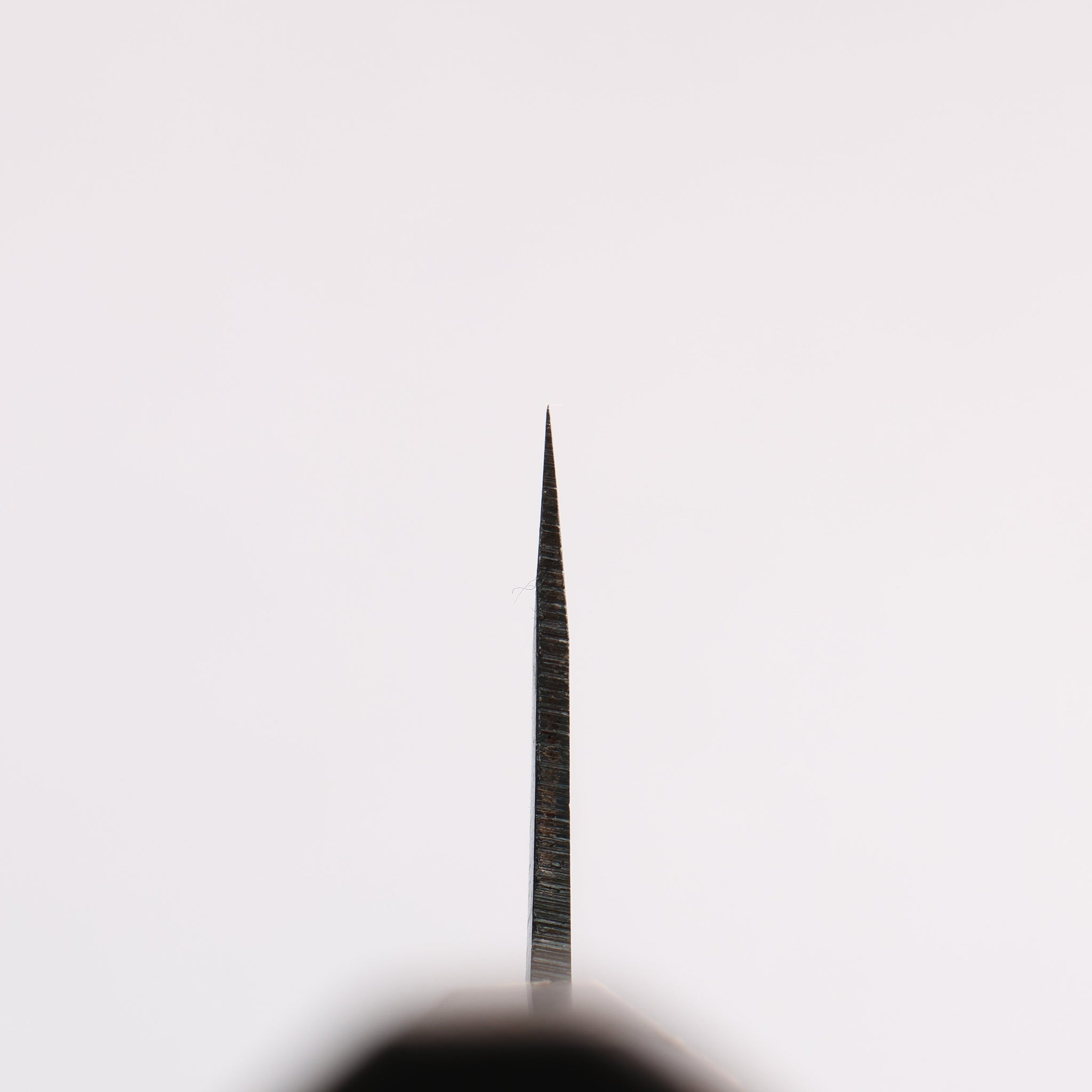 清助 青一鋼 黒仕上げ 切付牛刀包丁 210mm 焼栗 （口輪：サクラ）柄 - 清助刃物