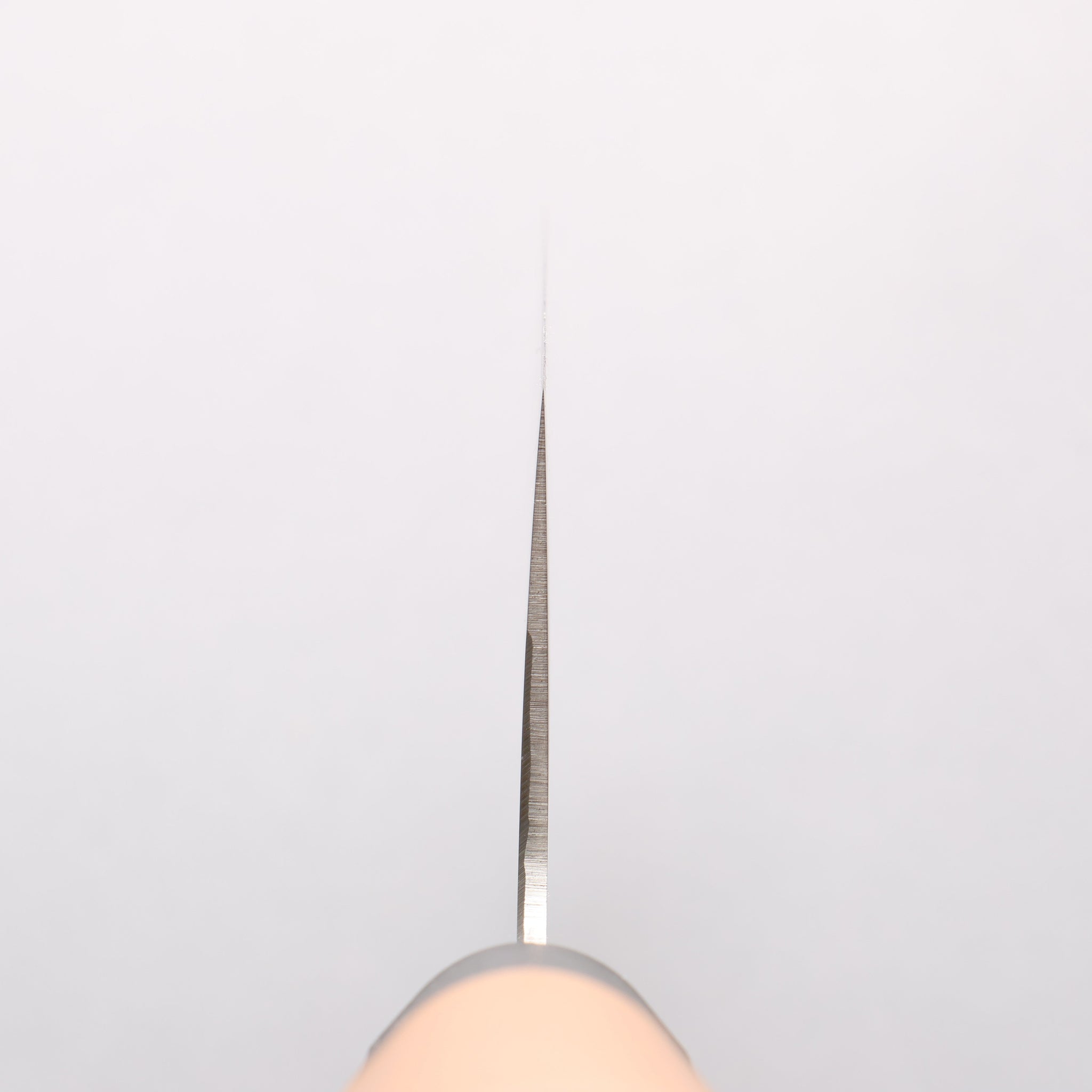 堺 孝行 モリブデン鋼（MOL） 寿司切り包丁 240mm プラスチック抗菌柄 - 清助刃物