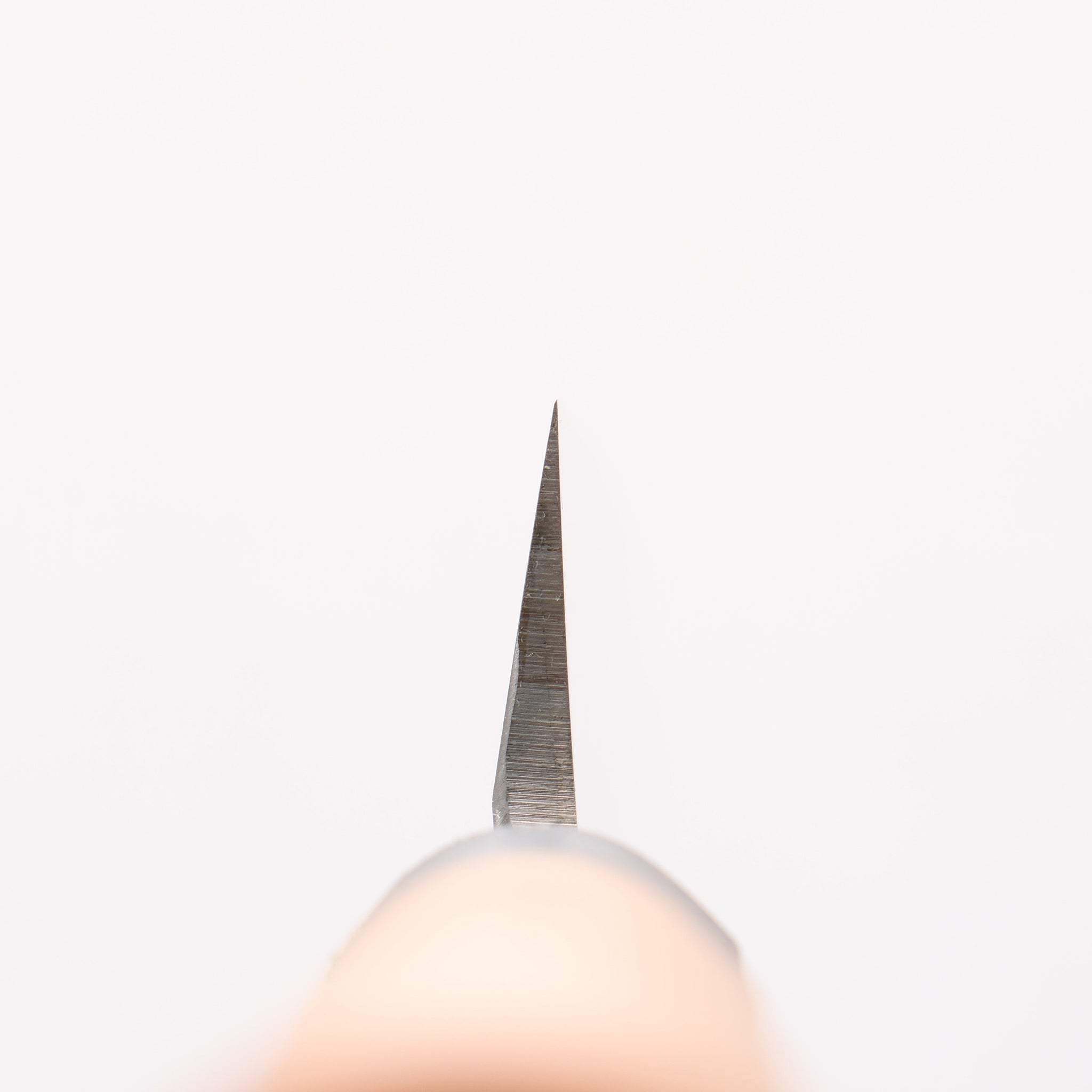 堺 孝行 モリブデン鋼（MOL） 柳刃包丁 300mm プラスチック抗菌柄 - 清助刃物