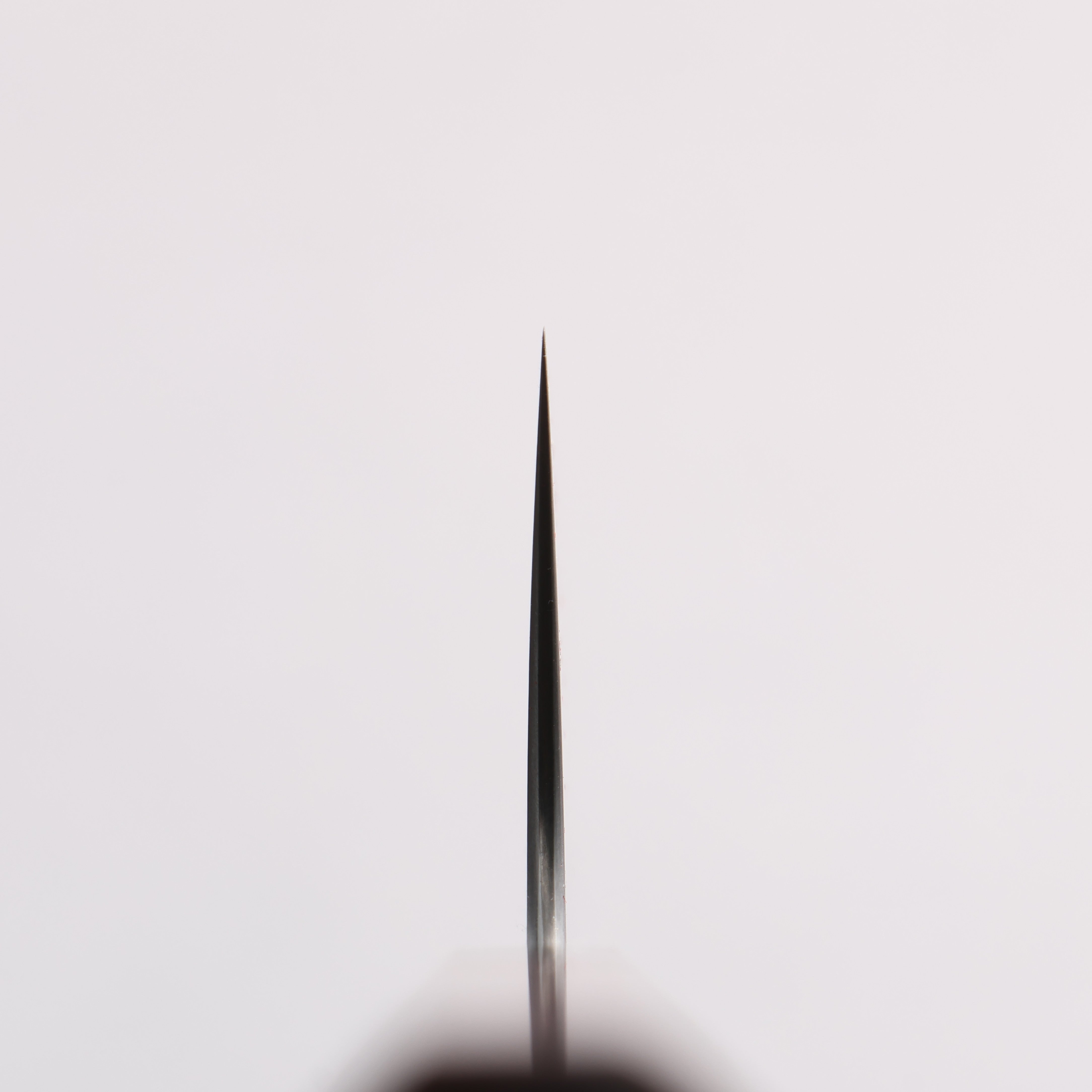 柴田崇行 甲鉄 青スーパー鋼 牛刀包丁 210mm 紫檀 (口輪：黒合板)柄 - 清助刃物