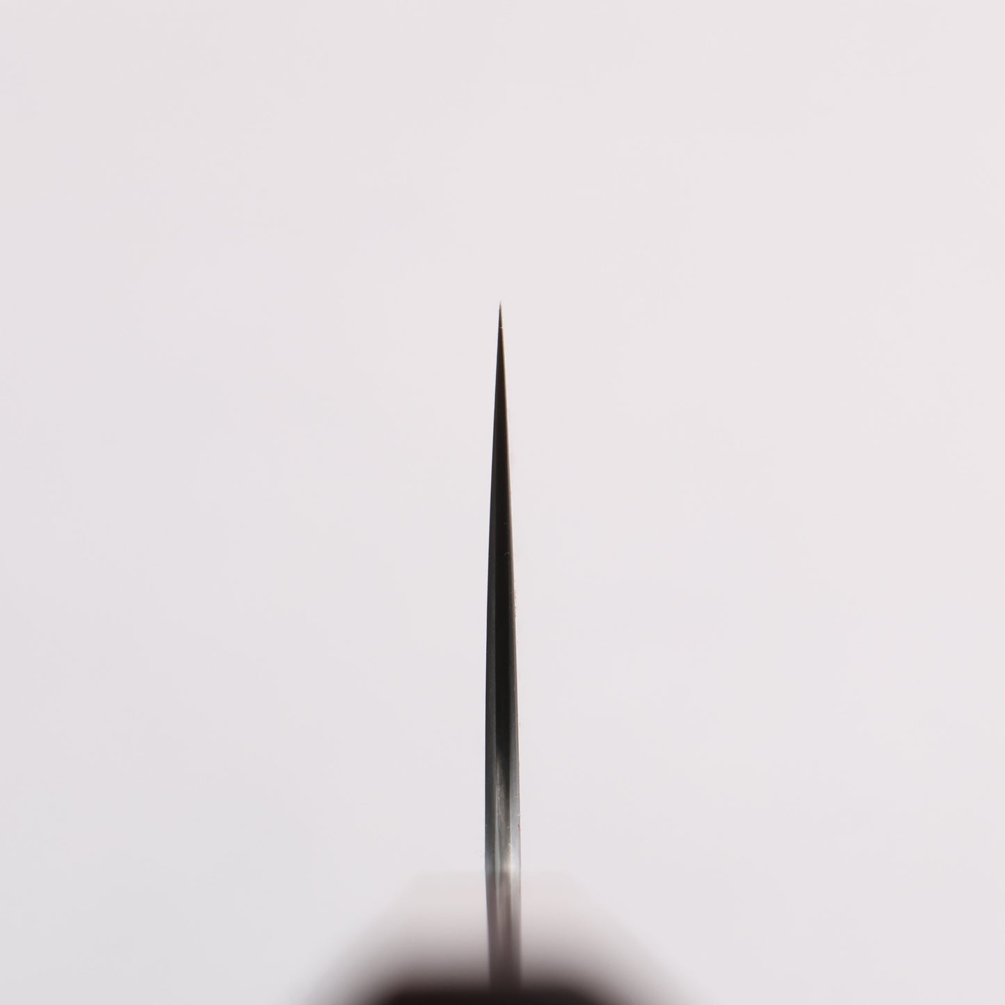 柴田崇行 甲鉄 青スーパー鋼 牛刀包丁 210mm 紫檀 (口輪：黒合板)柄 - 清助刃物