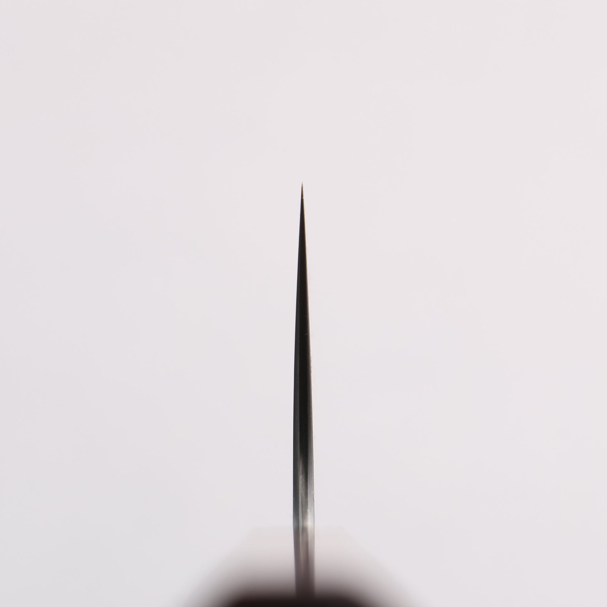 柴田崇行 甲鉄 青スーパー鋼 牛刀包丁 210mm 紫檀 (口輪：黒合板)柄 - 清助刃物