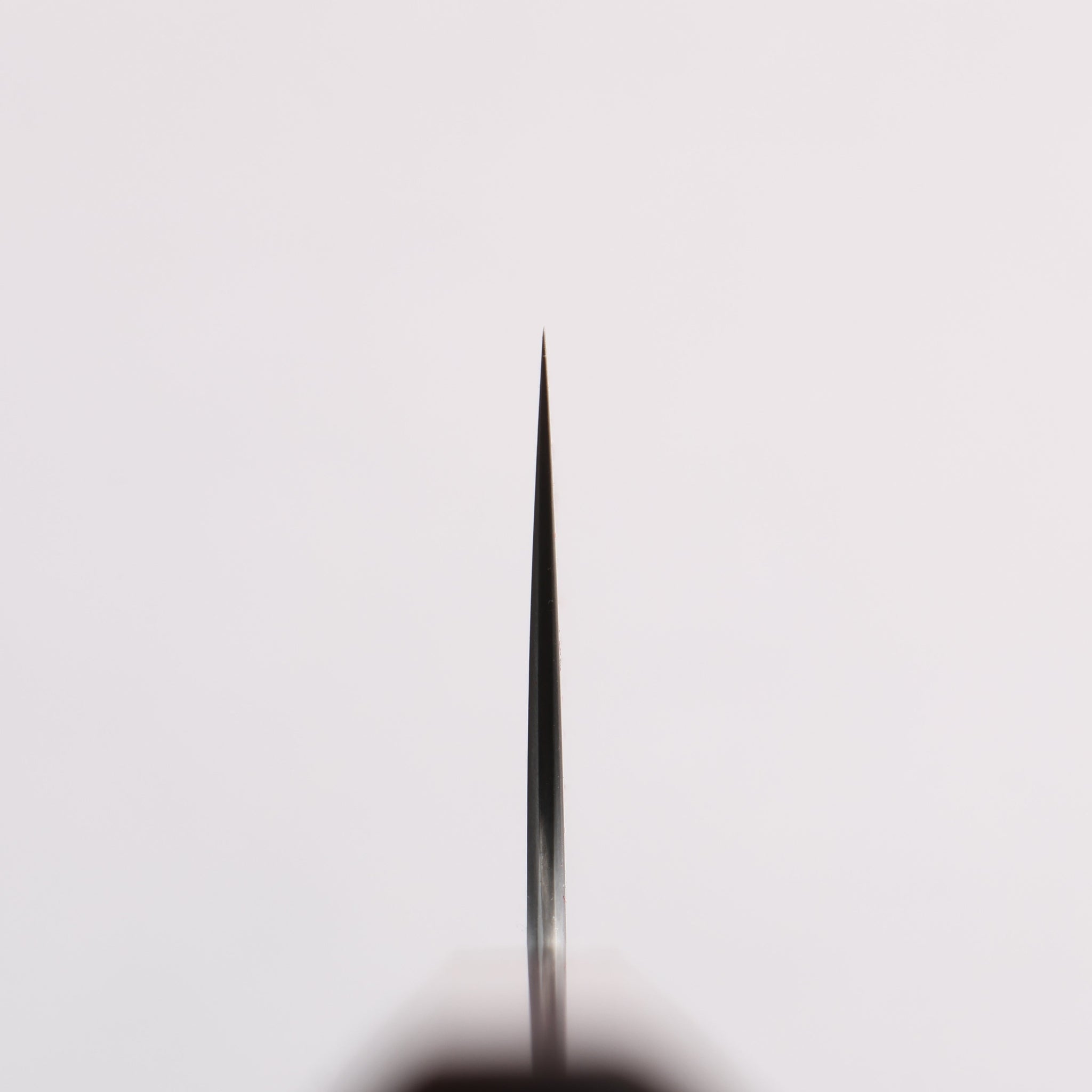 柴田崇行 甲鉄 青スーパー鋼 牛刀包丁 210mm 紫檀 (口輪：黒合板)柄 - 清助刃物