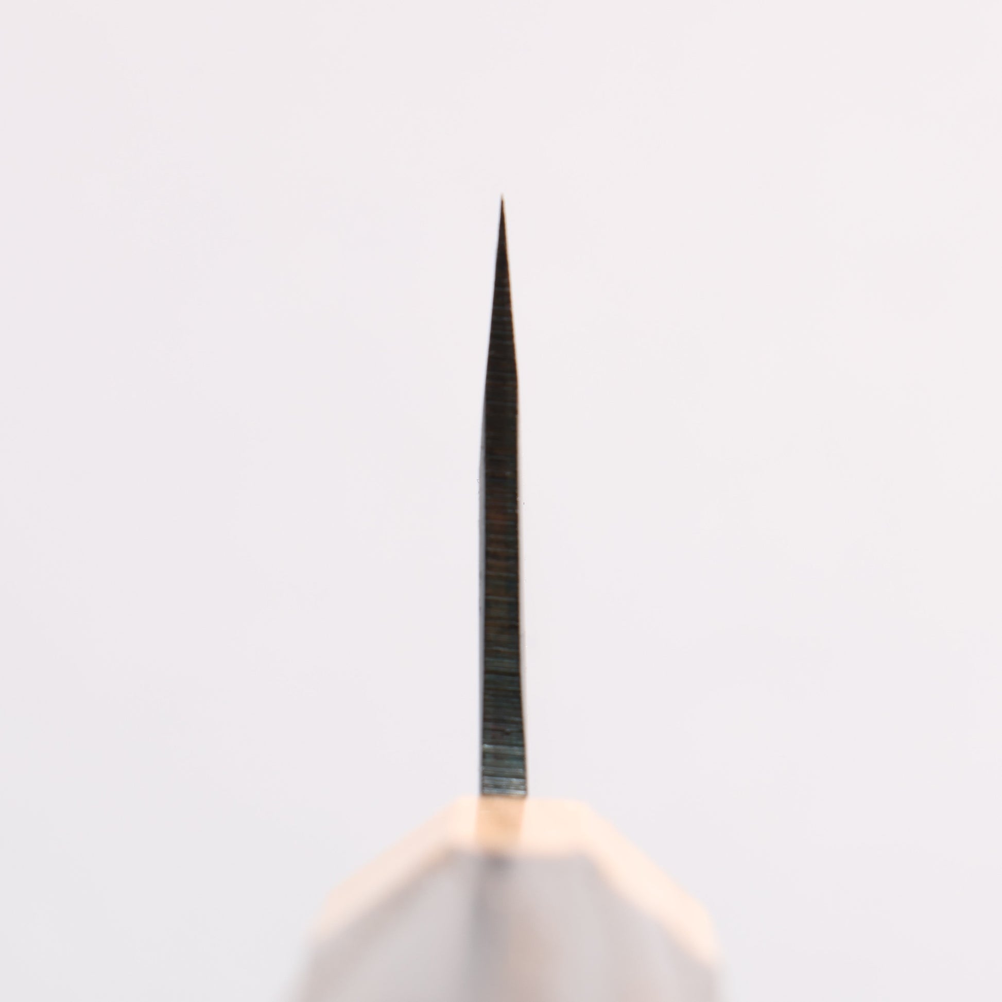 清助 青スーパー鋼 黒仕上げ 文化包丁 180mm 焼栗 （口輪：サクラ）柄 - 清助刃物