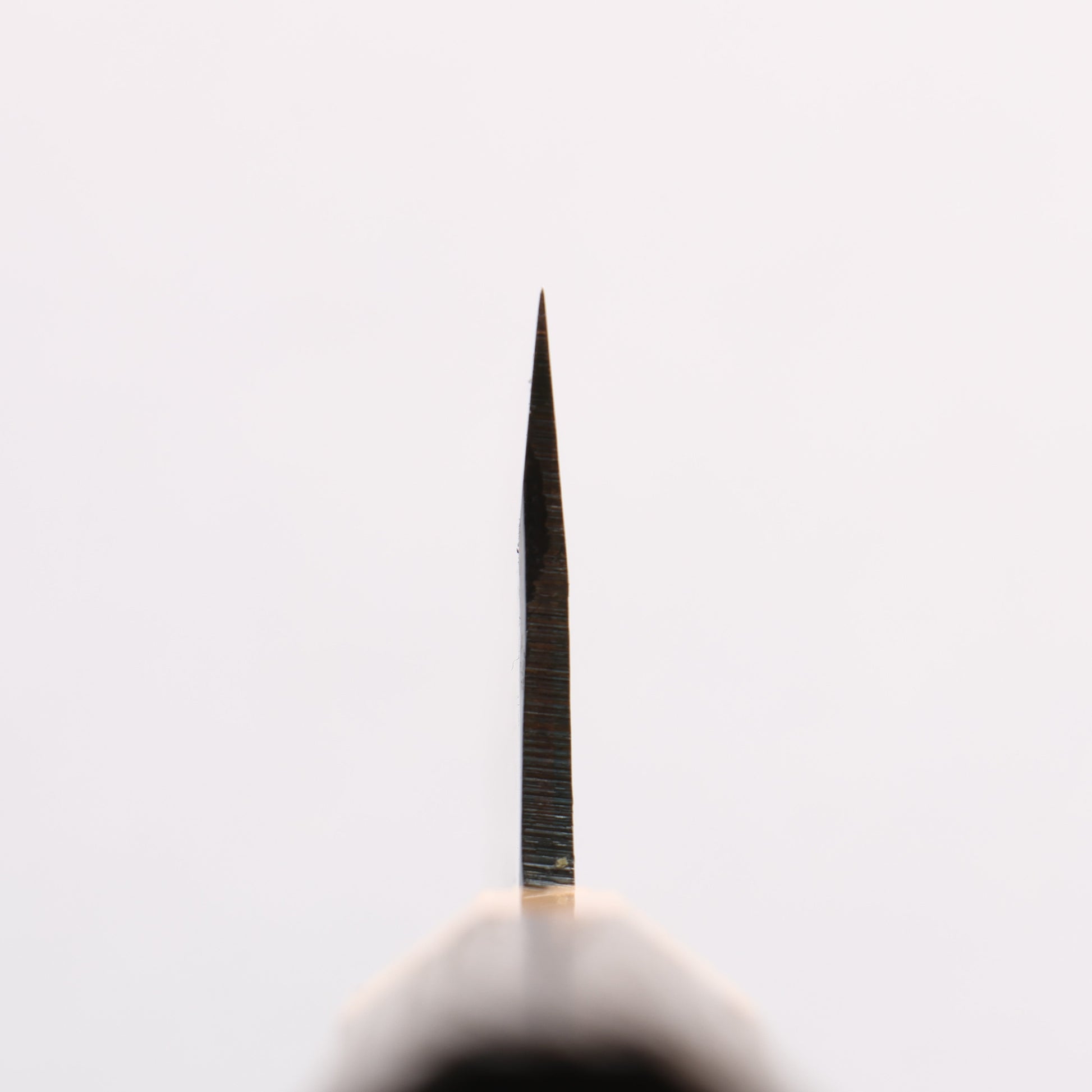 清助 青スーパー鋼 黒仕上げ 切付牛刀包丁 210mm 焼栗 （口輪：サクラ）柄 - 清助刃物