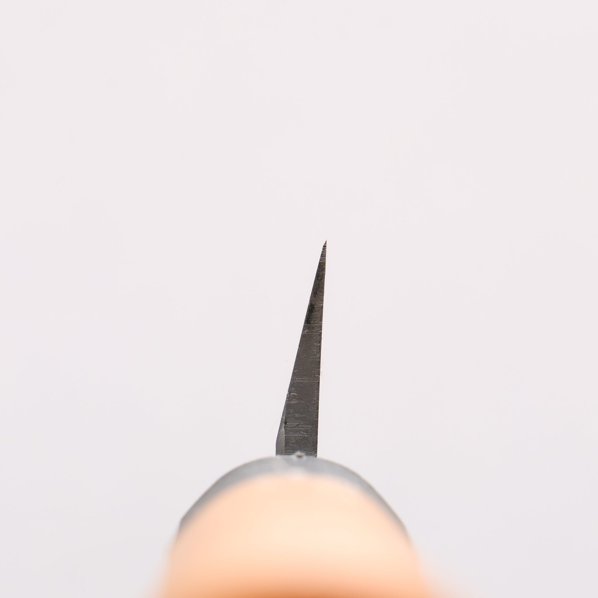 堺 孝行 モリブデン鋼（MOL） 柳刃包丁 240mm プラスチック抗菌柄 - 清助刃物