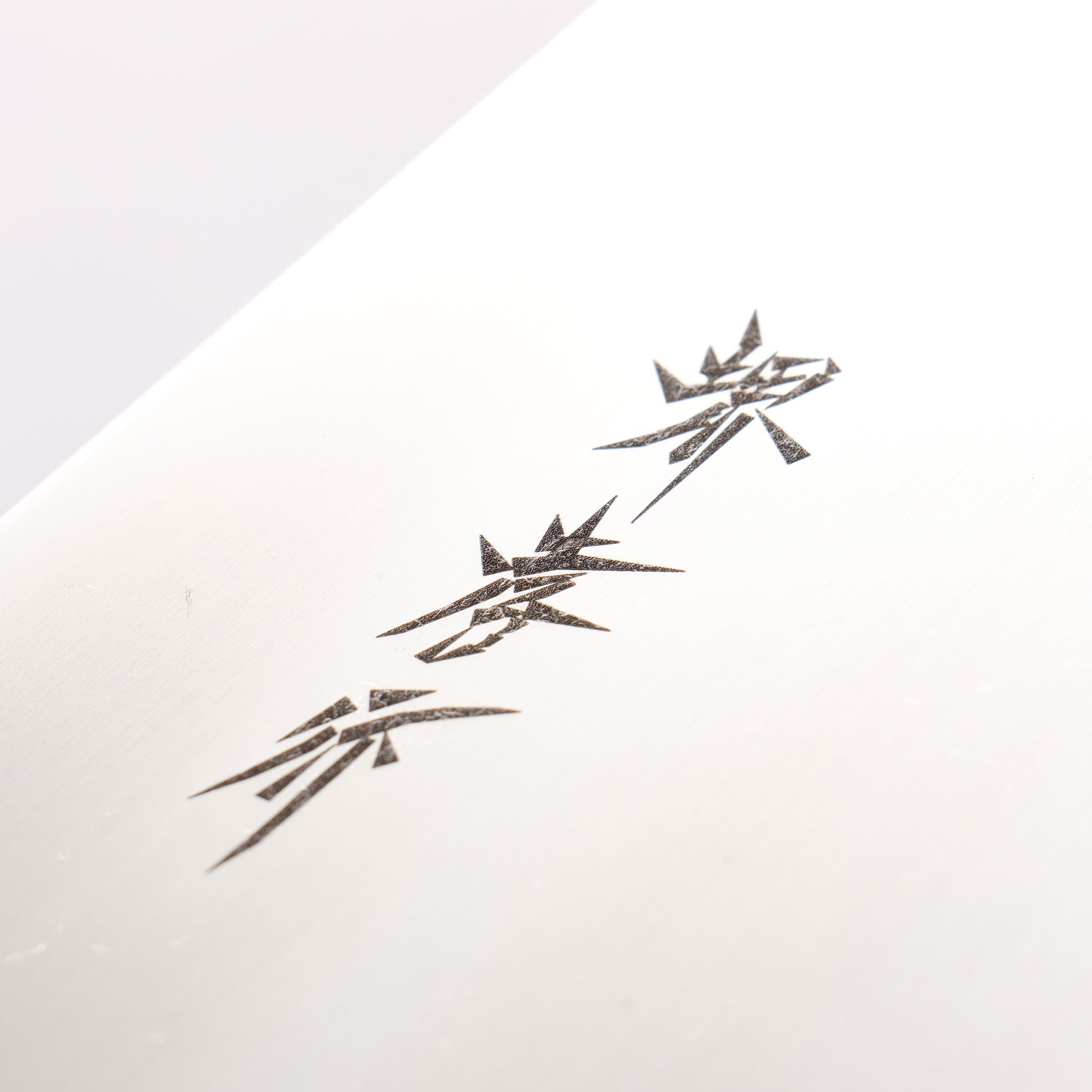 堺 孝行 モリブデン鋼（MOL） そば切り包丁 300mm - 清助刃物