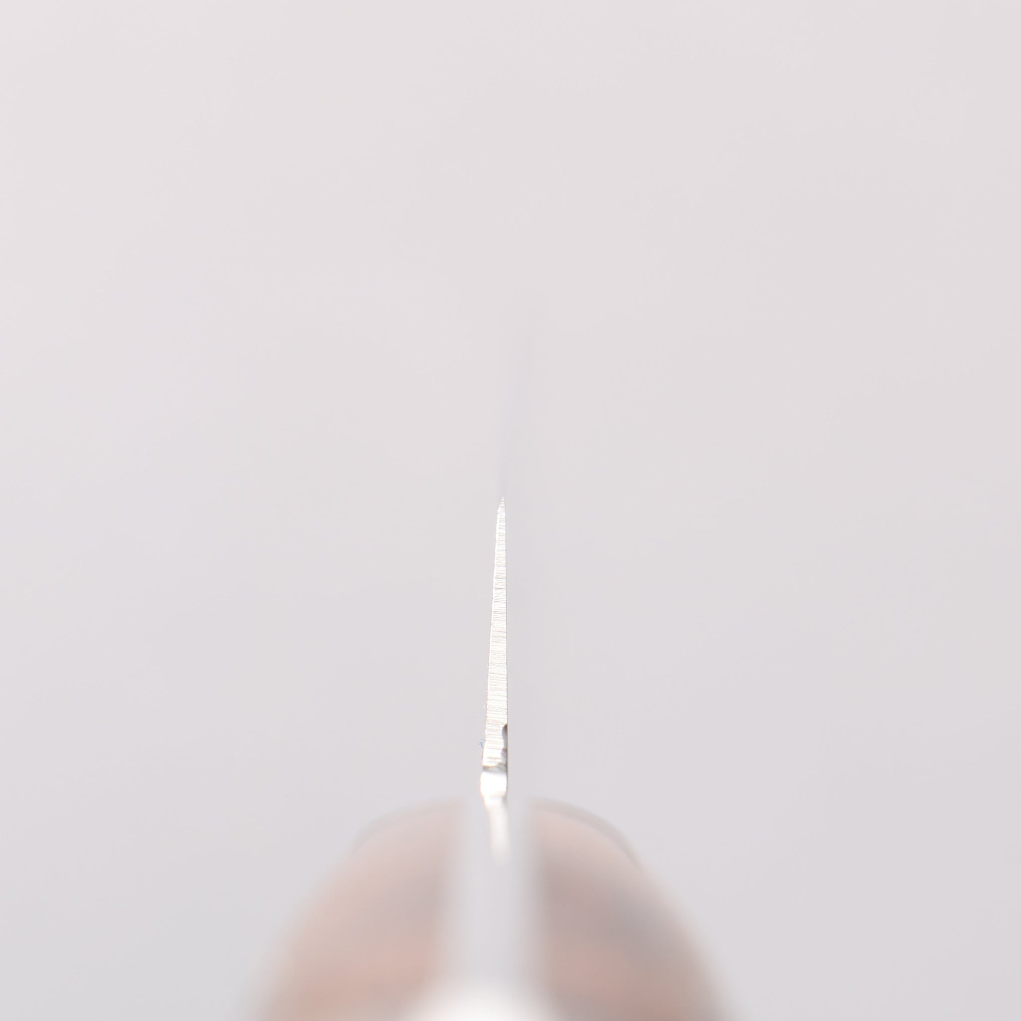 堺 孝行 ステンレス鋼 カービングナイフ 240mm - 清助刃物