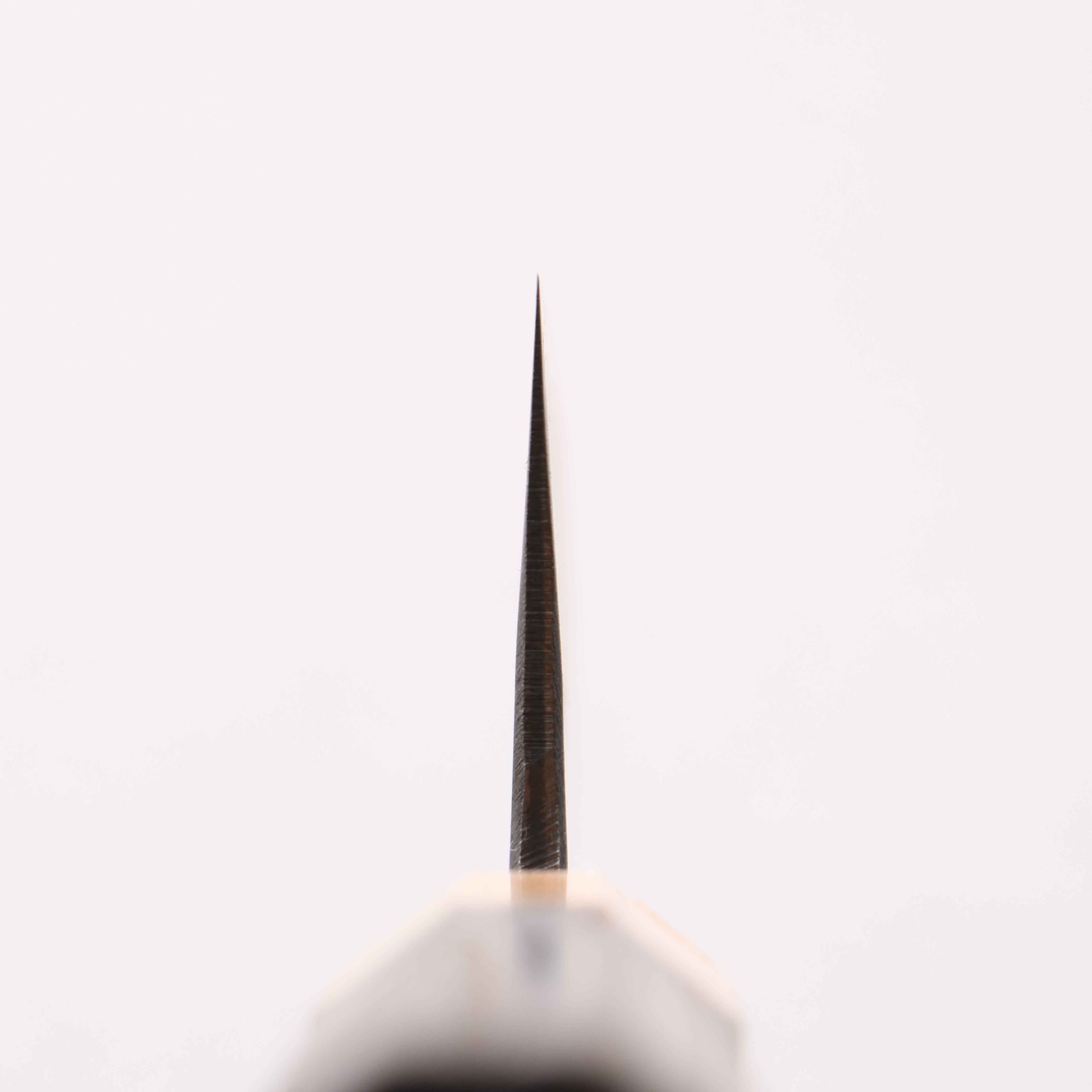 清助 青ニ鋼 黒仕上げ 三徳包丁 170mm 焼栗 （口輪：サクラ）柄 - 清助刃物