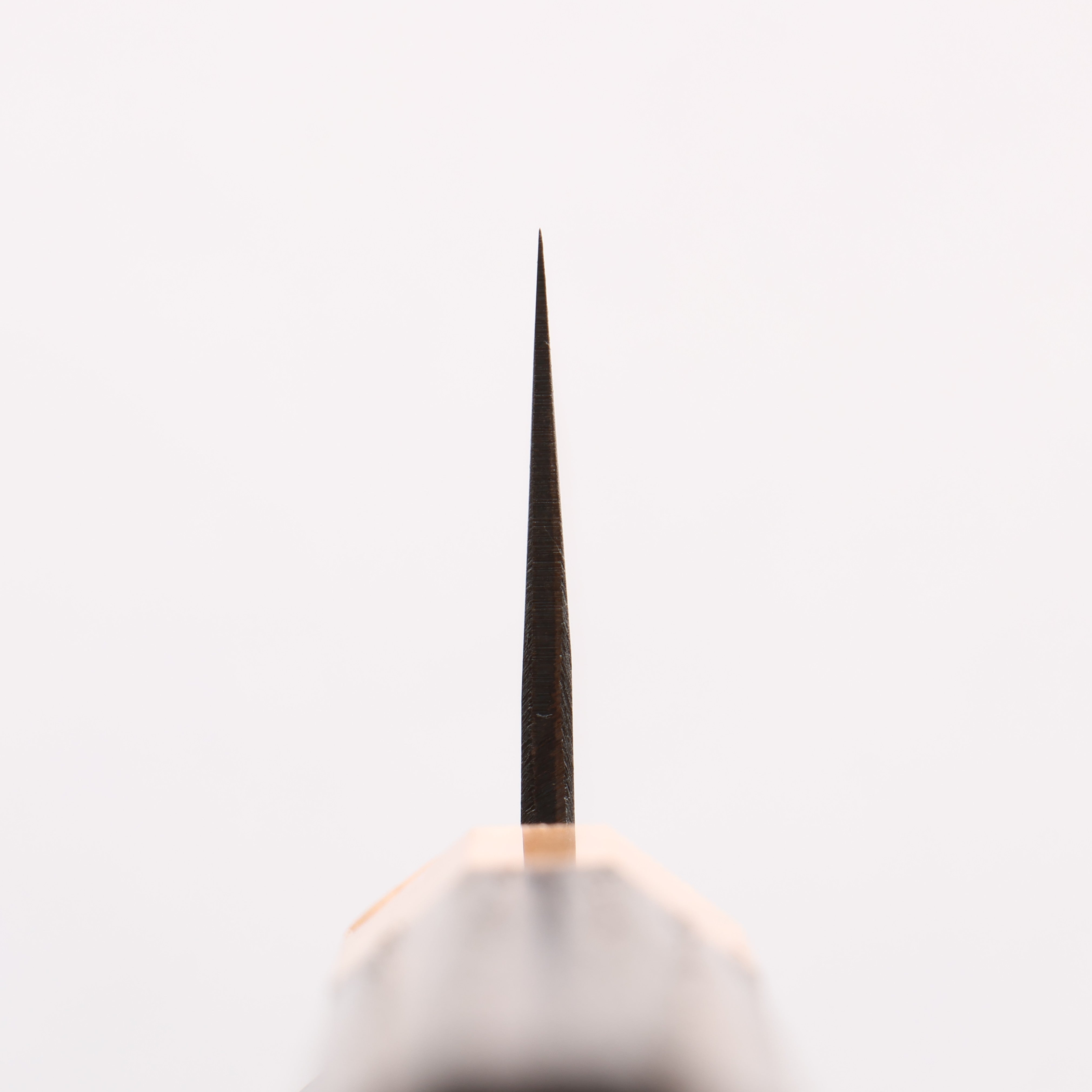 清助 青ニ鋼 黒仕上げ 切付牛刀包丁 210mm 焼栗 （口輪：サクラ）柄 - 清助刃物
