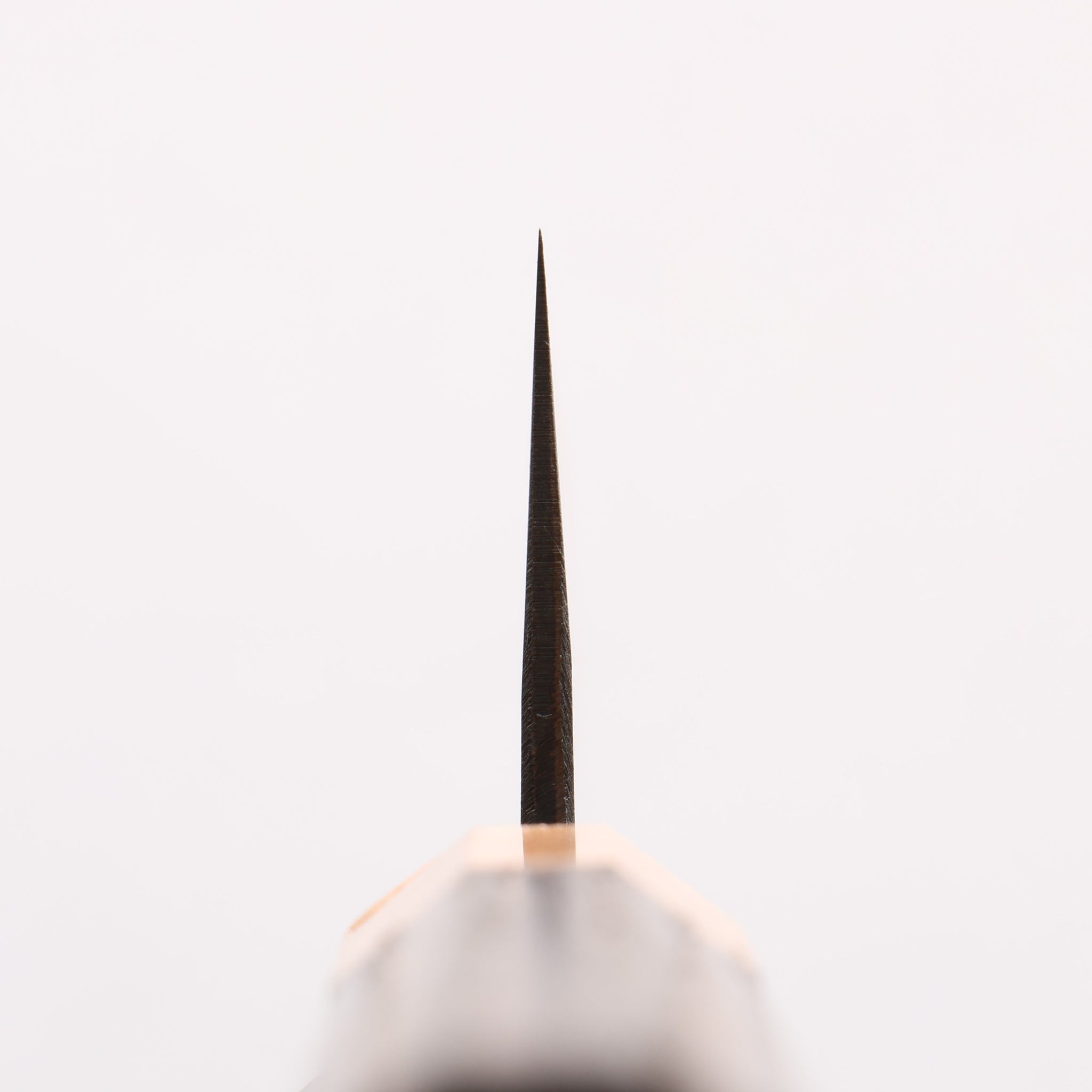 清助 青ニ鋼 黒仕上げ 切付牛刀包丁 210mm 焼栗 （口輪：サクラ）柄 - 清助刃物