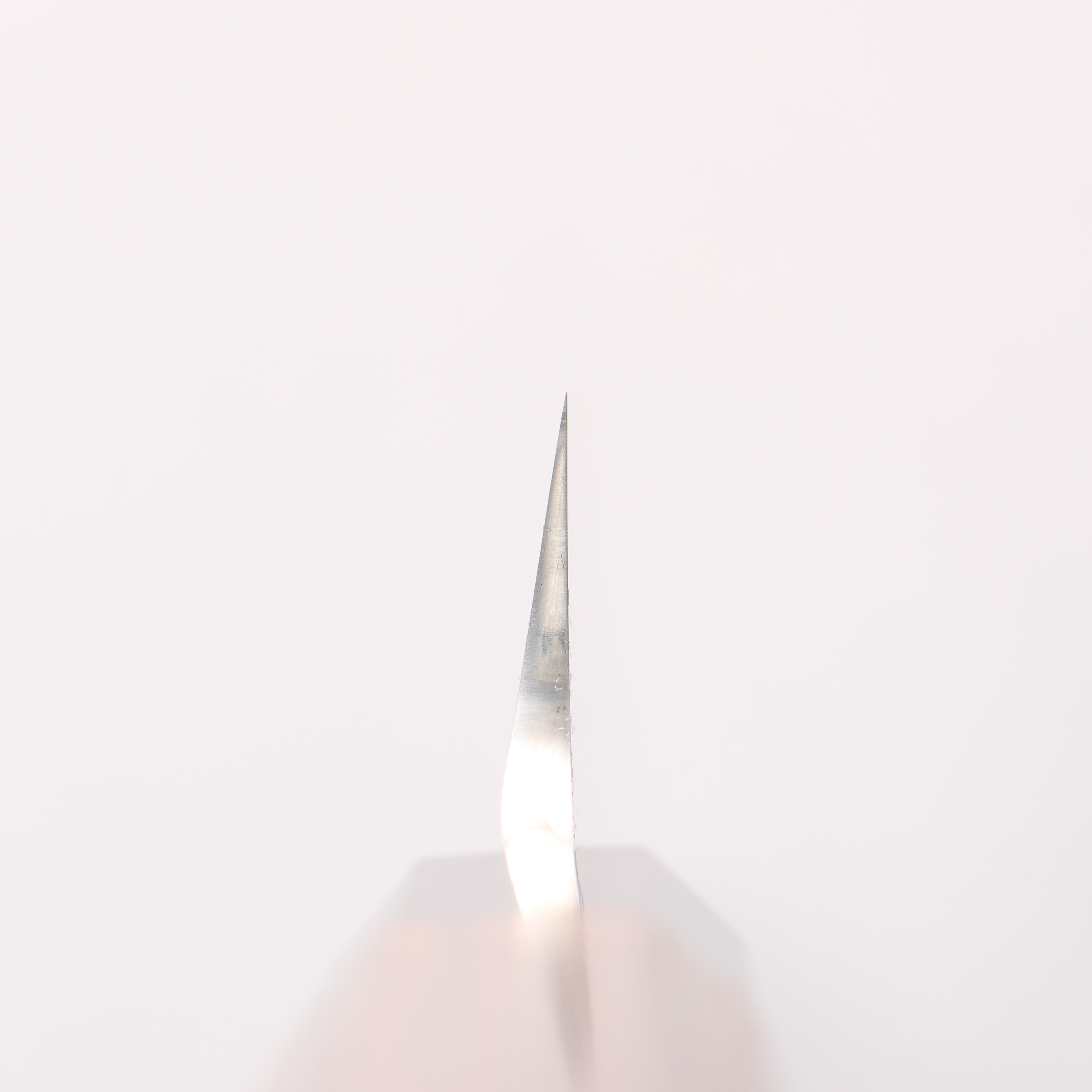 堺 孝行 銀龍 本焼 スウェーデン鋼 鏡面仕上げ 先丸柳刃包丁 300mm ウェンジ(両側水牛リング付き）柄 鞘付き - 清助刃物