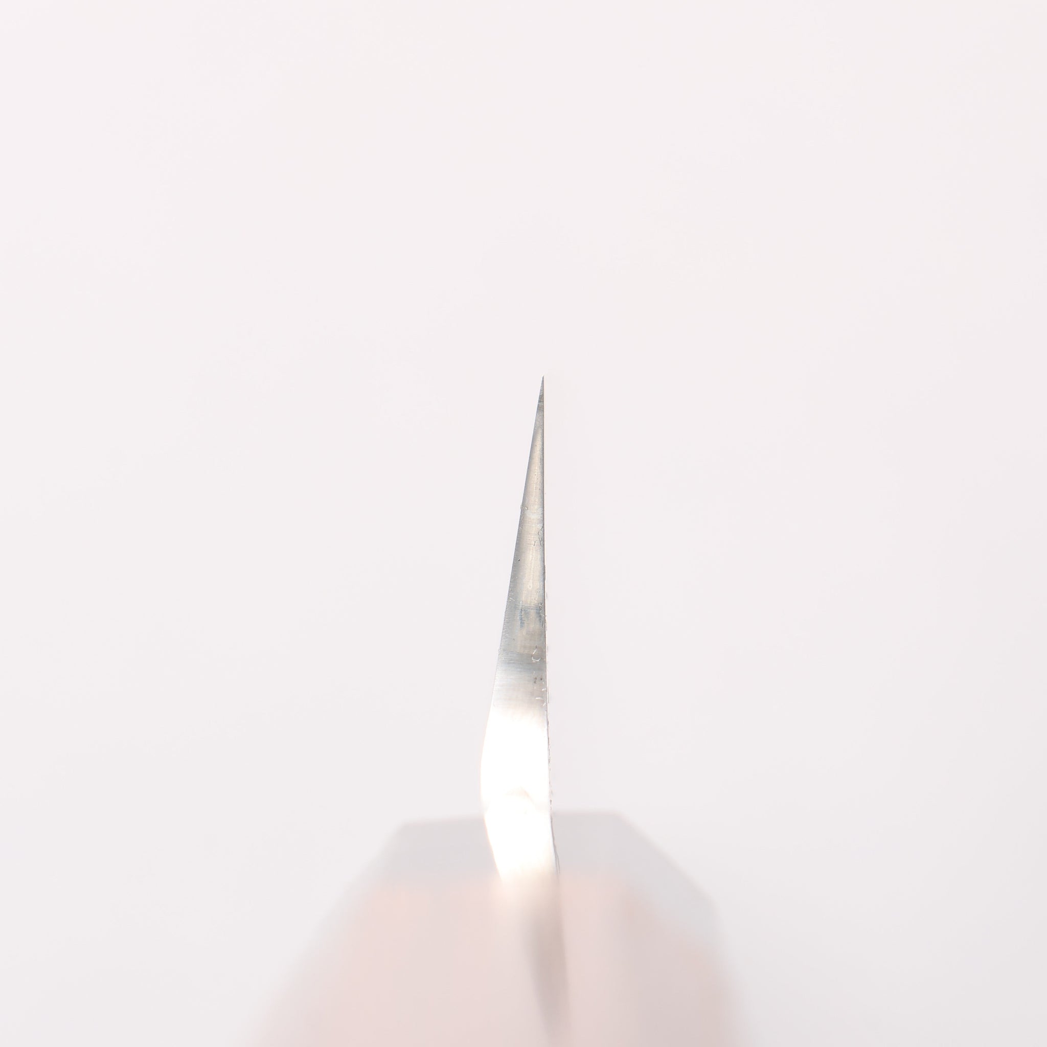 堺 孝行 銀龍 本焼 スウェーデン鋼 鏡面仕上げ 先丸柳刃包丁 300mm ウェンジ(両側水牛リング付き）柄 鞘付き - 清助刃物