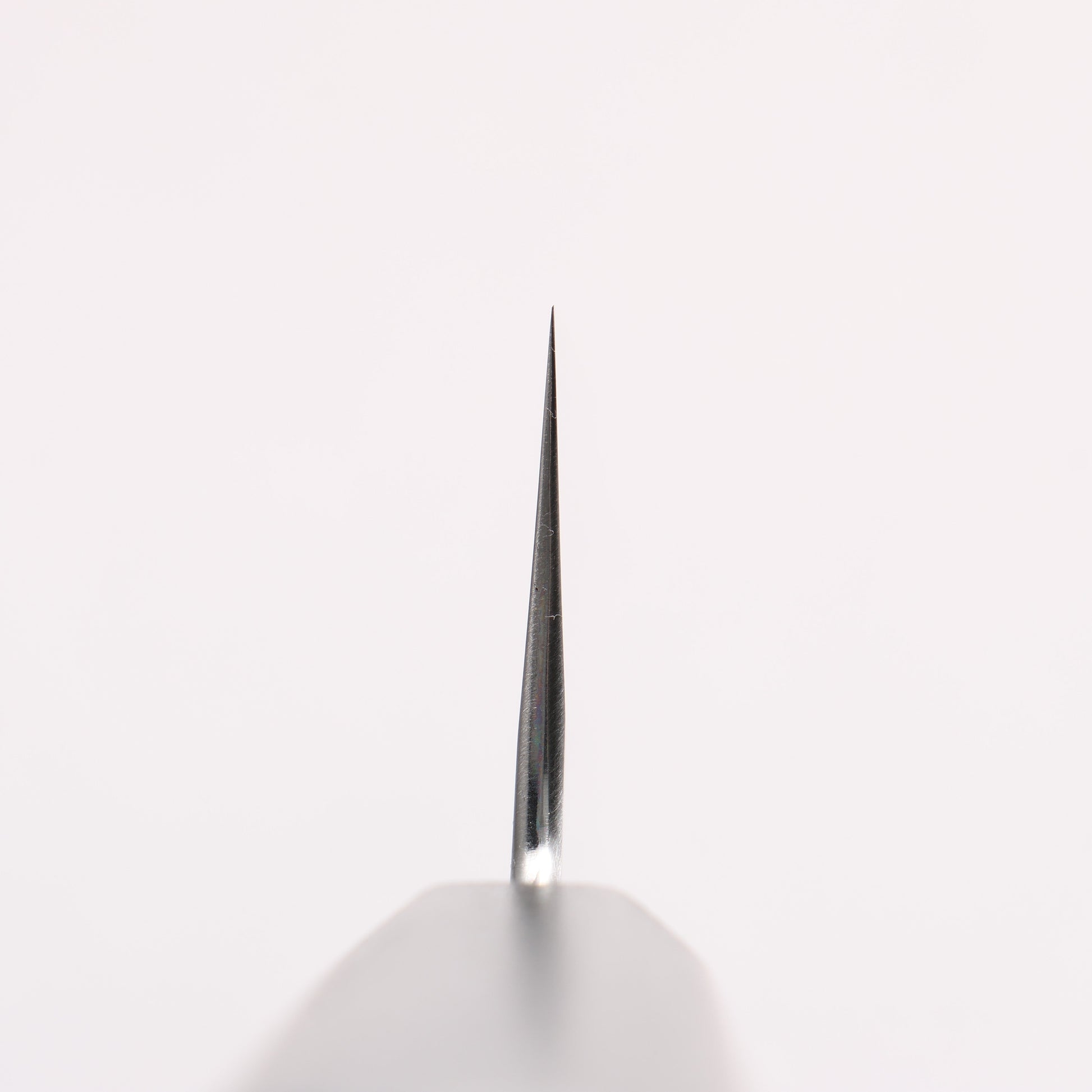 景清 白一鋼 切付牛刀包丁 240mm 赤呂漆塗り (朴)柄 - 清助刃物