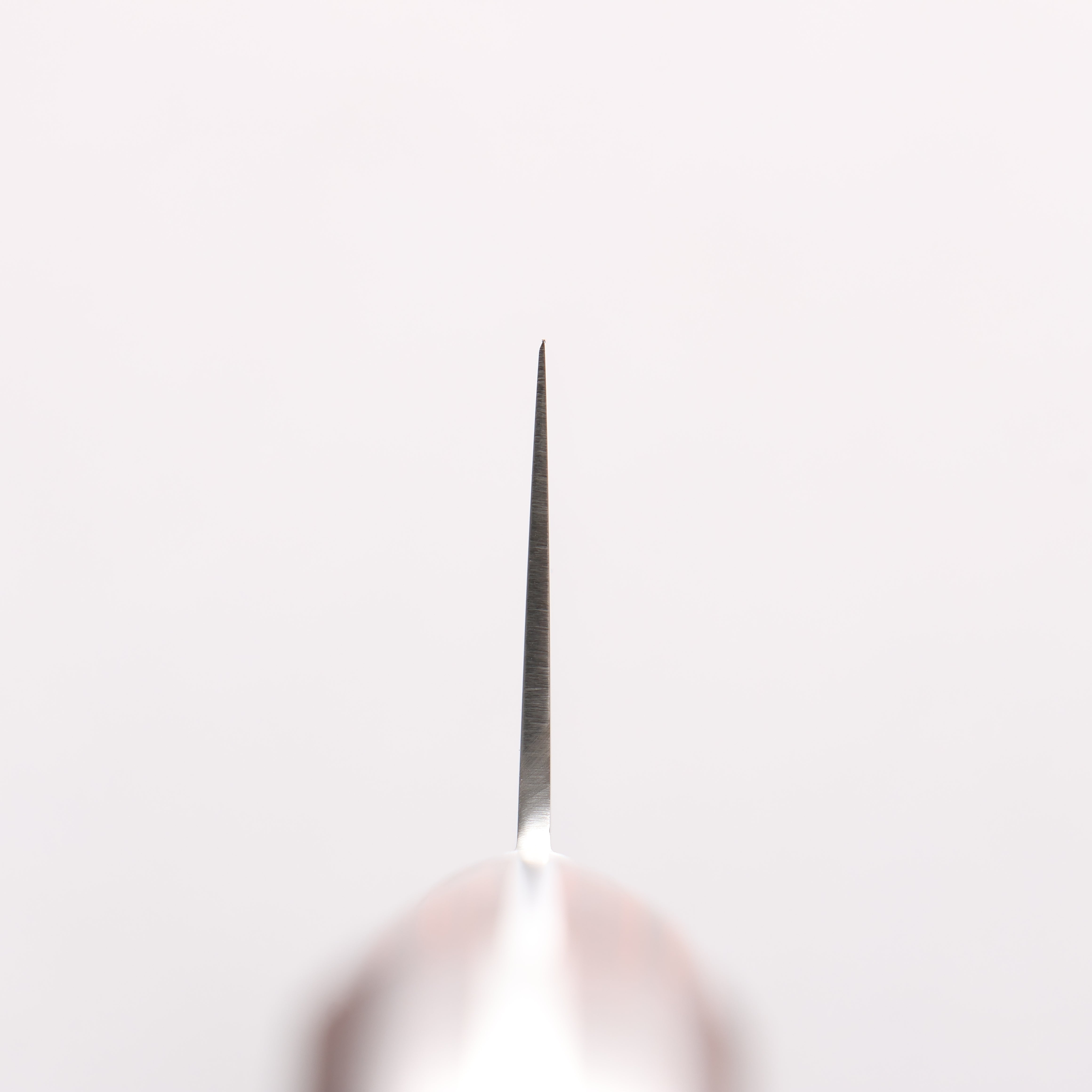 清助 V金10号 切付牛刀包丁 210mm マホガニー柄