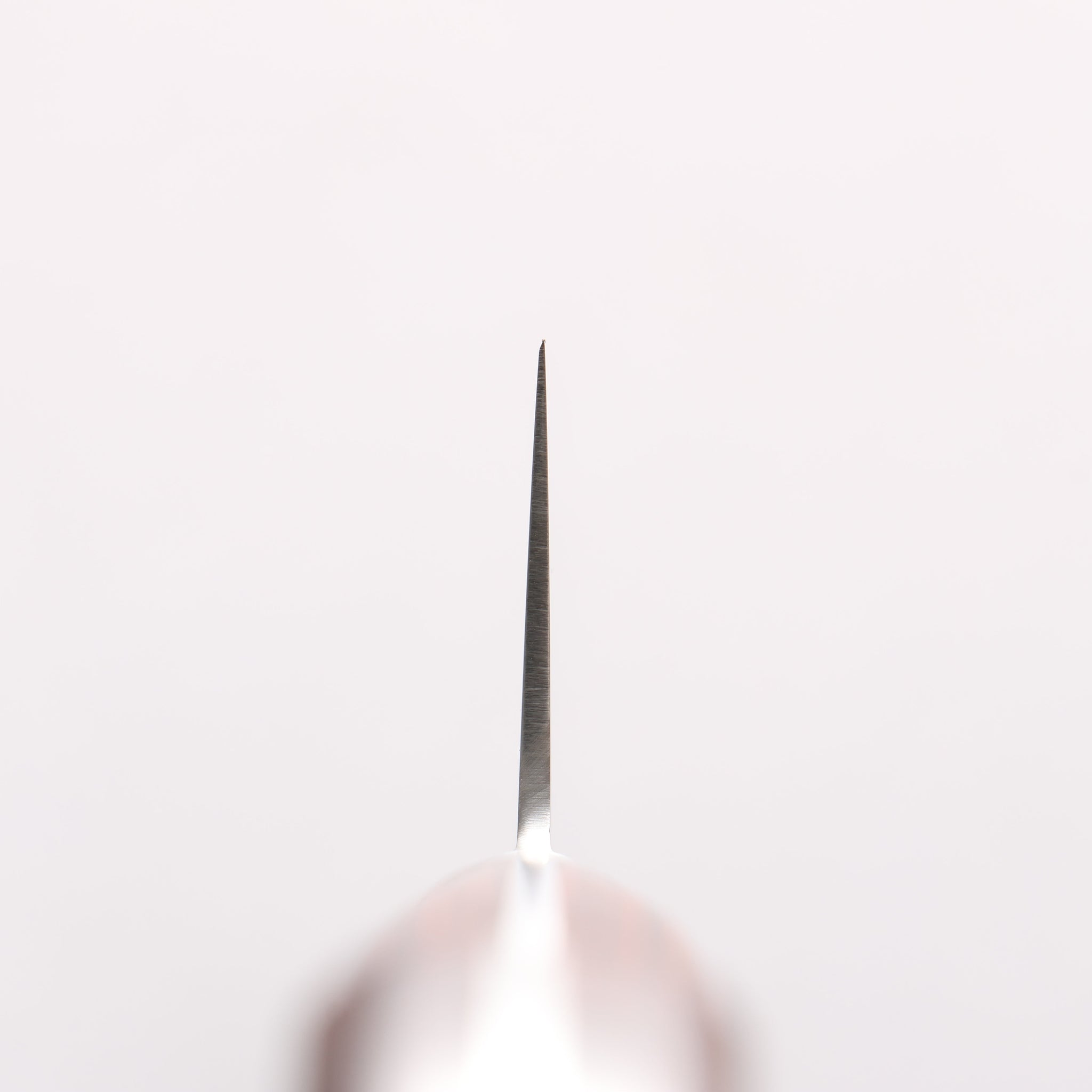 清助 V金10号 切付牛刀包丁 210mm マホガニー柄