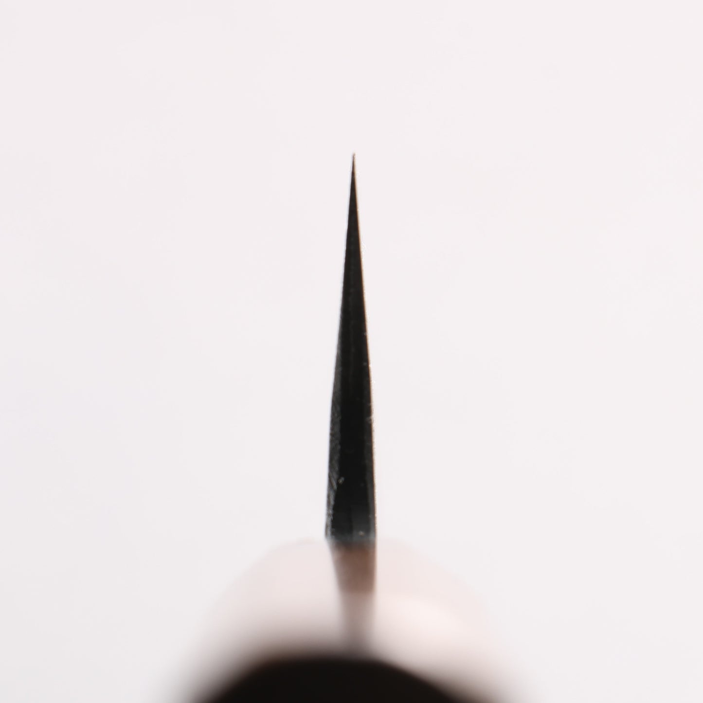 山本 直 安来青紙鋼 黒打 筋引包丁 240mm ウォルナット柄 - 清助刃物