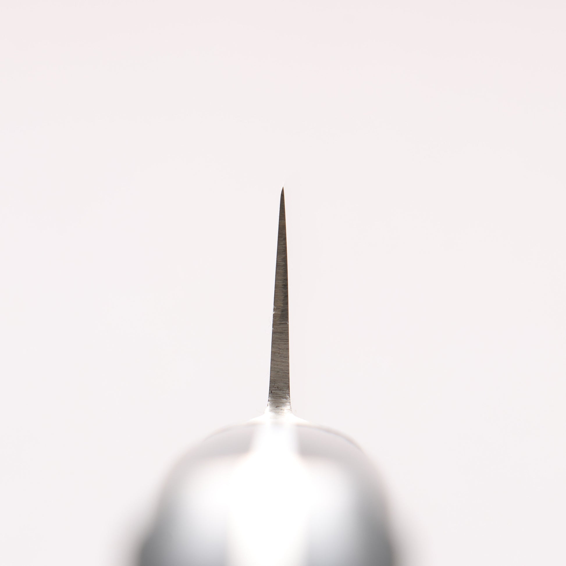 ミソノ スウェーデン鋼 龍の彫刻入り 筋引包丁 - 清助刃物