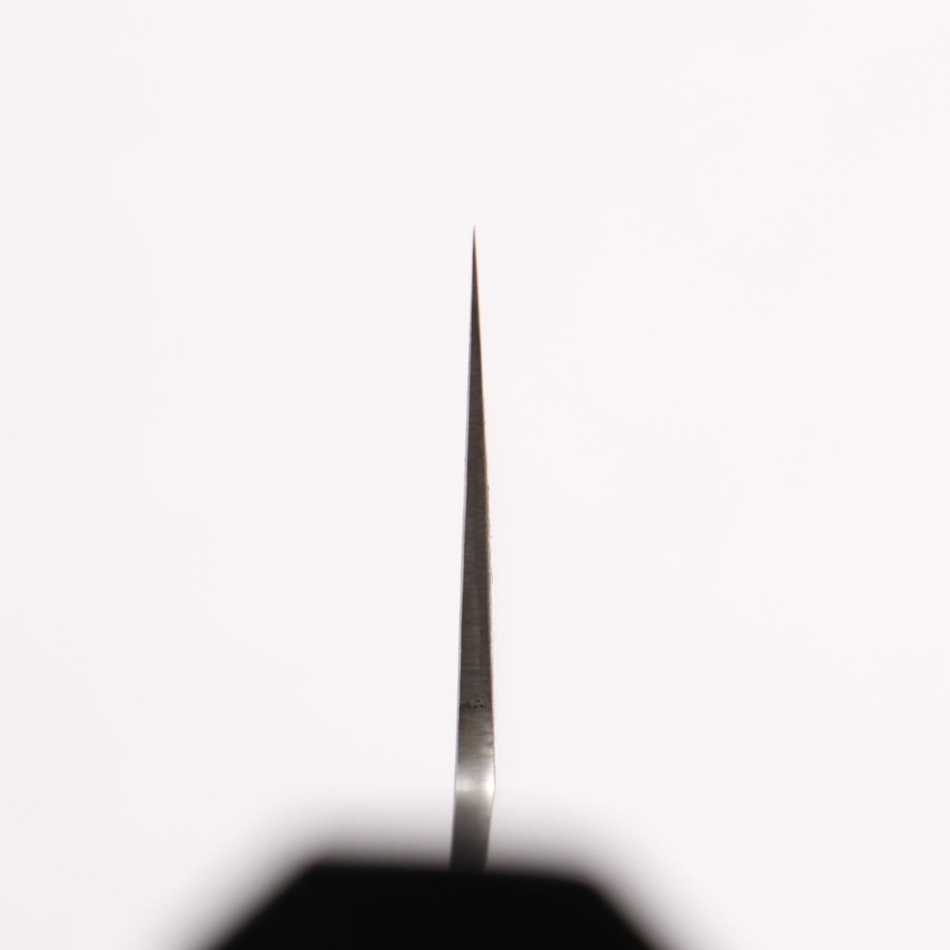 田中 誠貴 羽々斬 SG2 ダマスカス 菜切包丁 165mm 黒檀　(口輪：黒水牛)柄