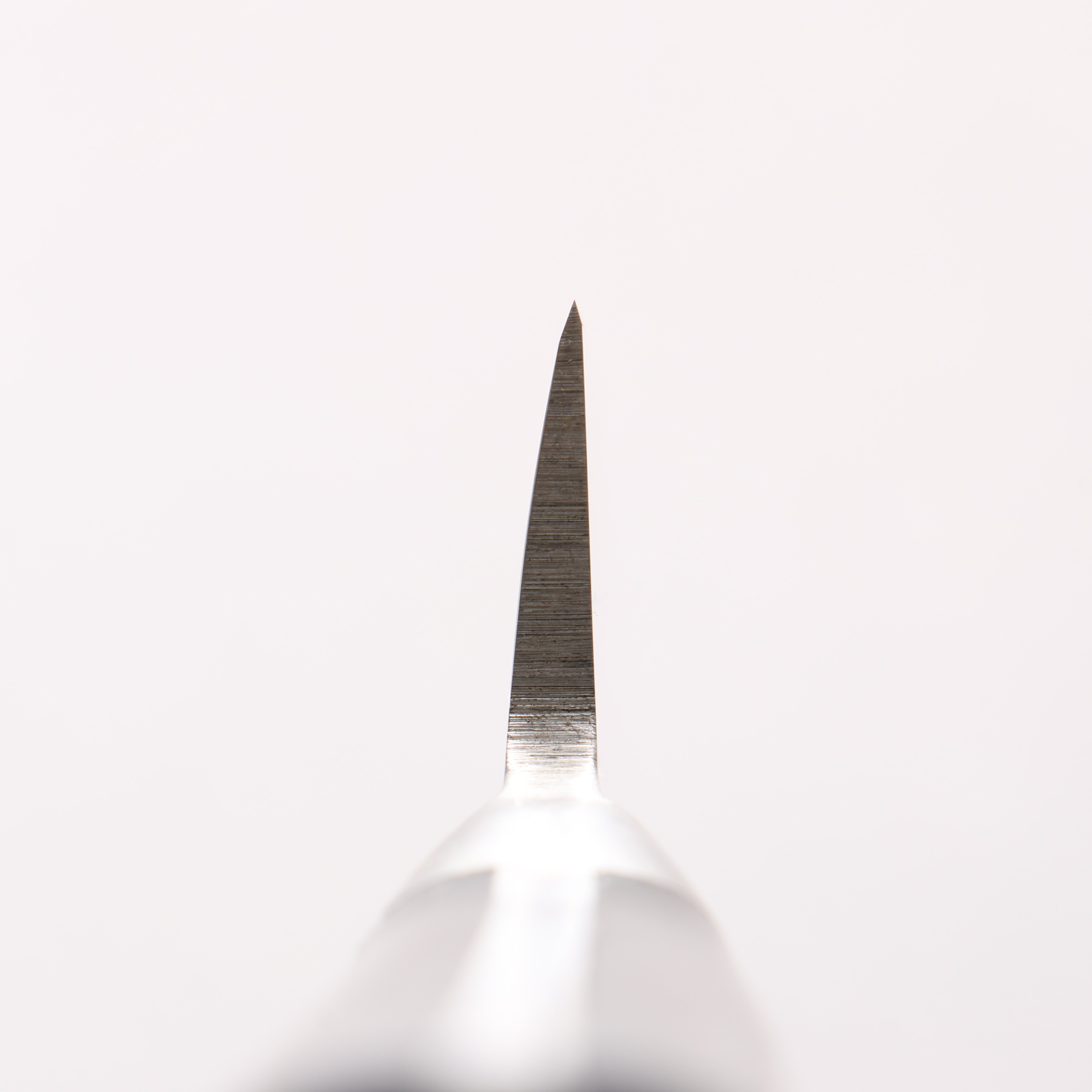 モルグルの刃 383　日本語　1枚 モルグルの刃 383 日本語 1枚 入荷！