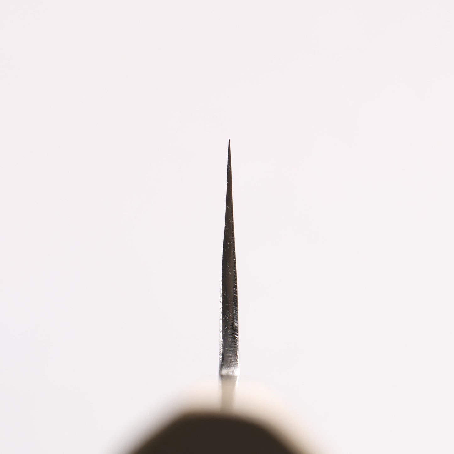 堺 菊守 白一鋼 三徳包丁 180mm 朴 (口輪：水牛)柄