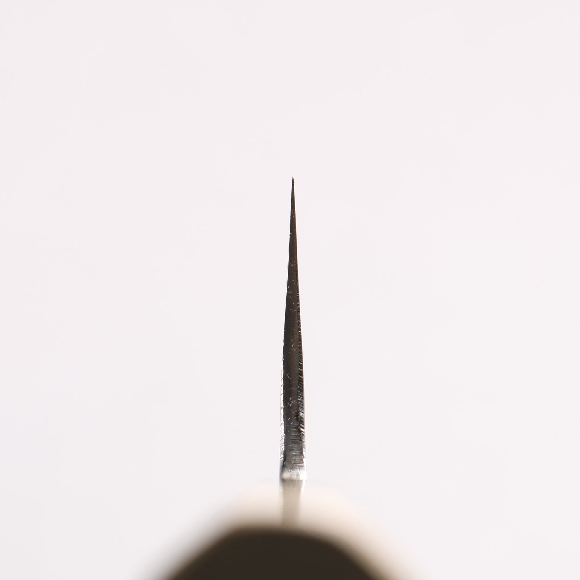 堺 菊守 白一鋼 三徳包丁 180mm 朴 (口輪：水牛)柄