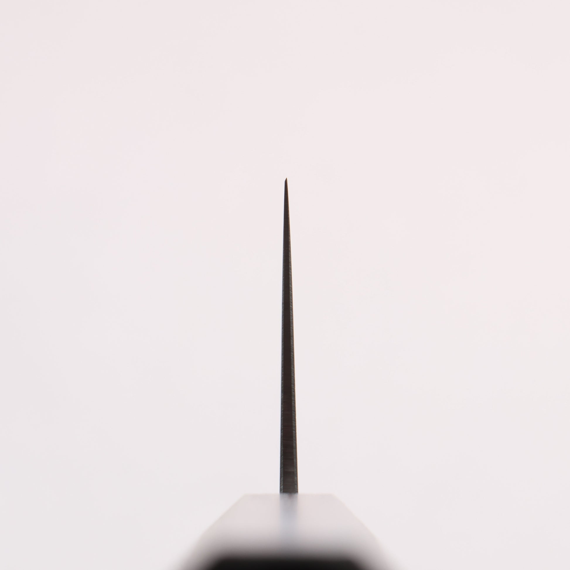 清助 青ニ鋼 幅広切付三徳包丁 180mm 樫 （紫）柄 - 清助刃物