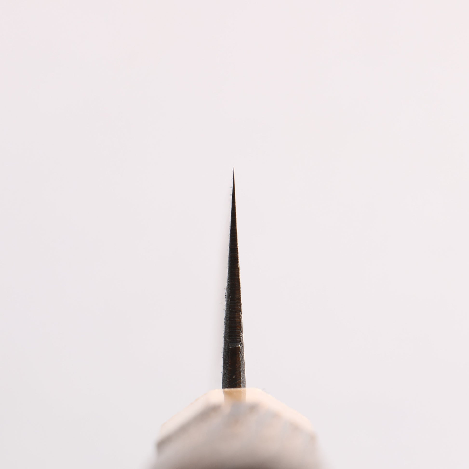 清助 青ニ鋼 黒仕上げ 小文化包丁 150mm 焼栗 （口輪：サクラ）柄 - 清助刃物