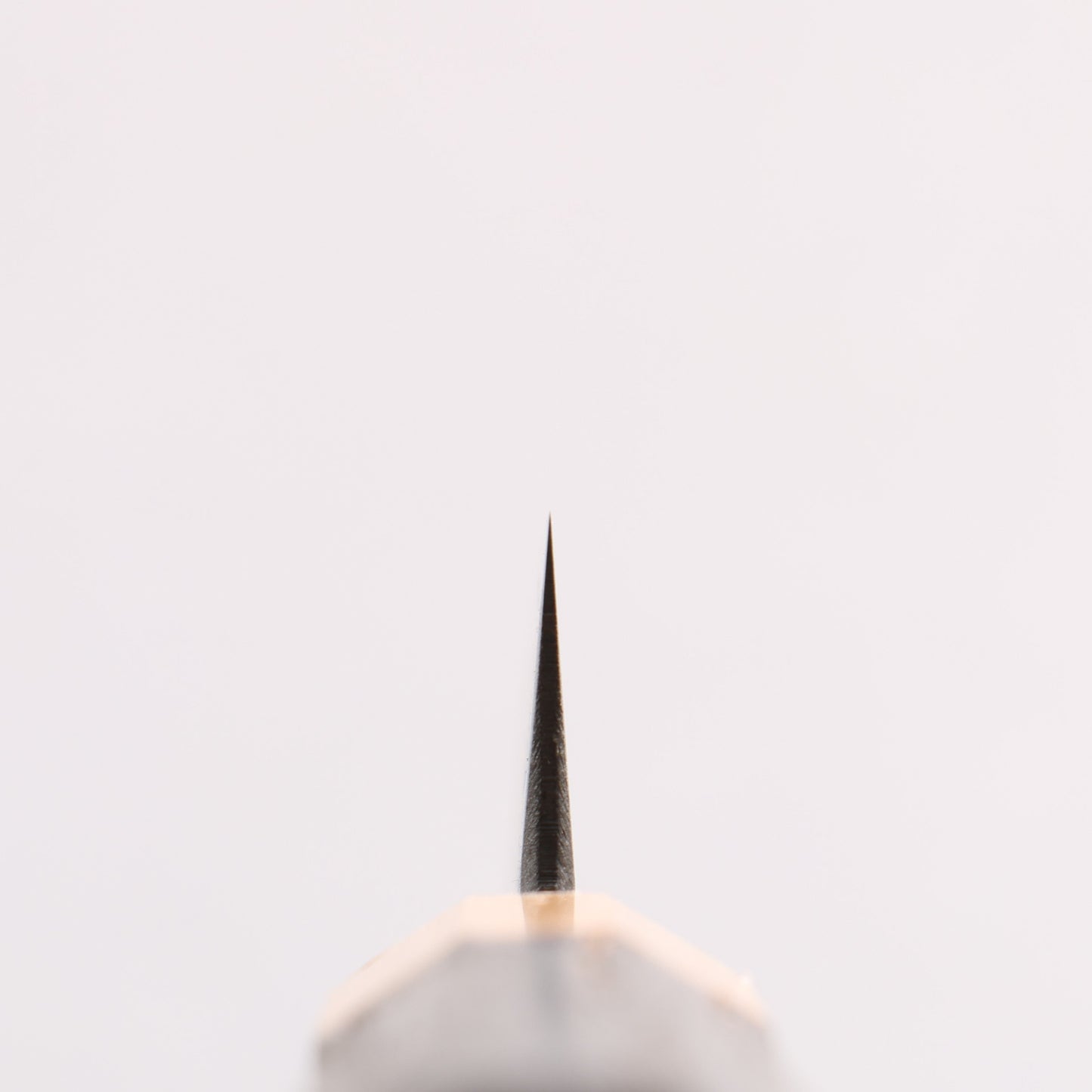 清助 青ニ鋼 黒仕上げ 切付ペティナイフ 120mm 焼栗 （口輪：サクラ）柄 - 清助刃物