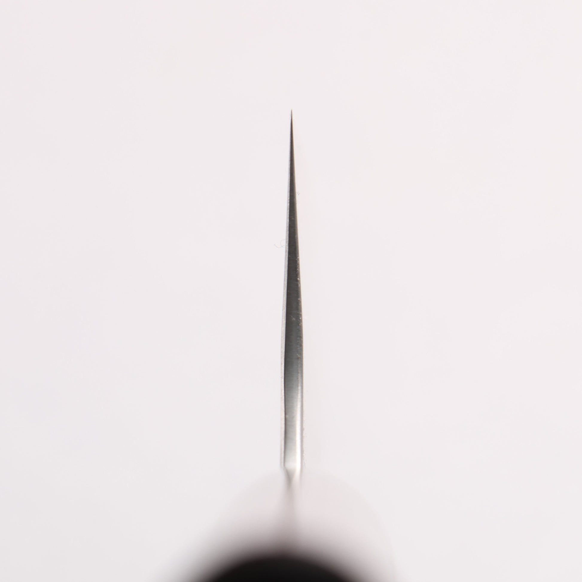 尾形 峻吾 SG2 縦目鎬横 牛刀包丁 210mm 紫檀柄 - 清助刃物