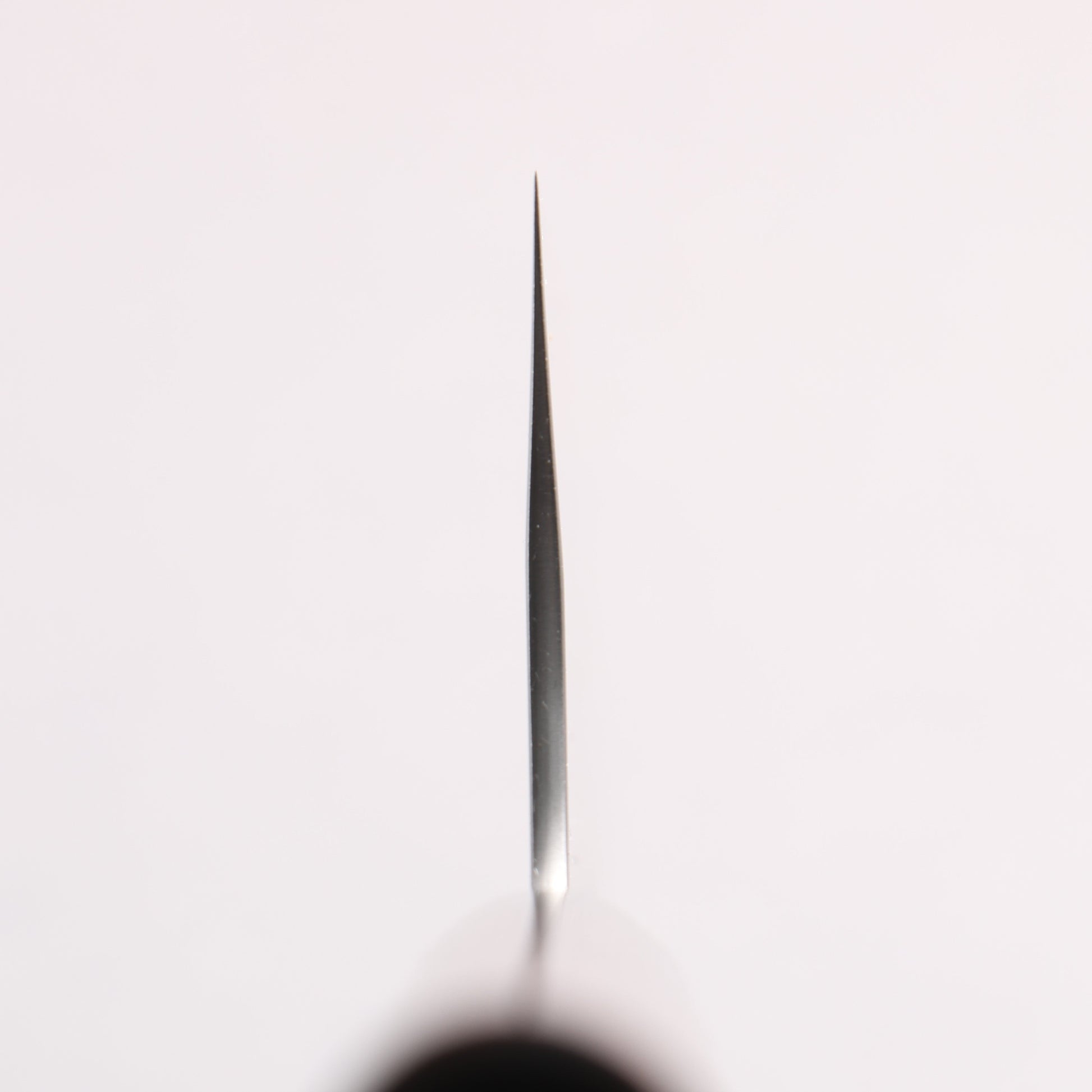 尾形 峻吾 SG2 縦目鎬横 牛刀包丁 240mm 紫檀柄 - 清助刃物
