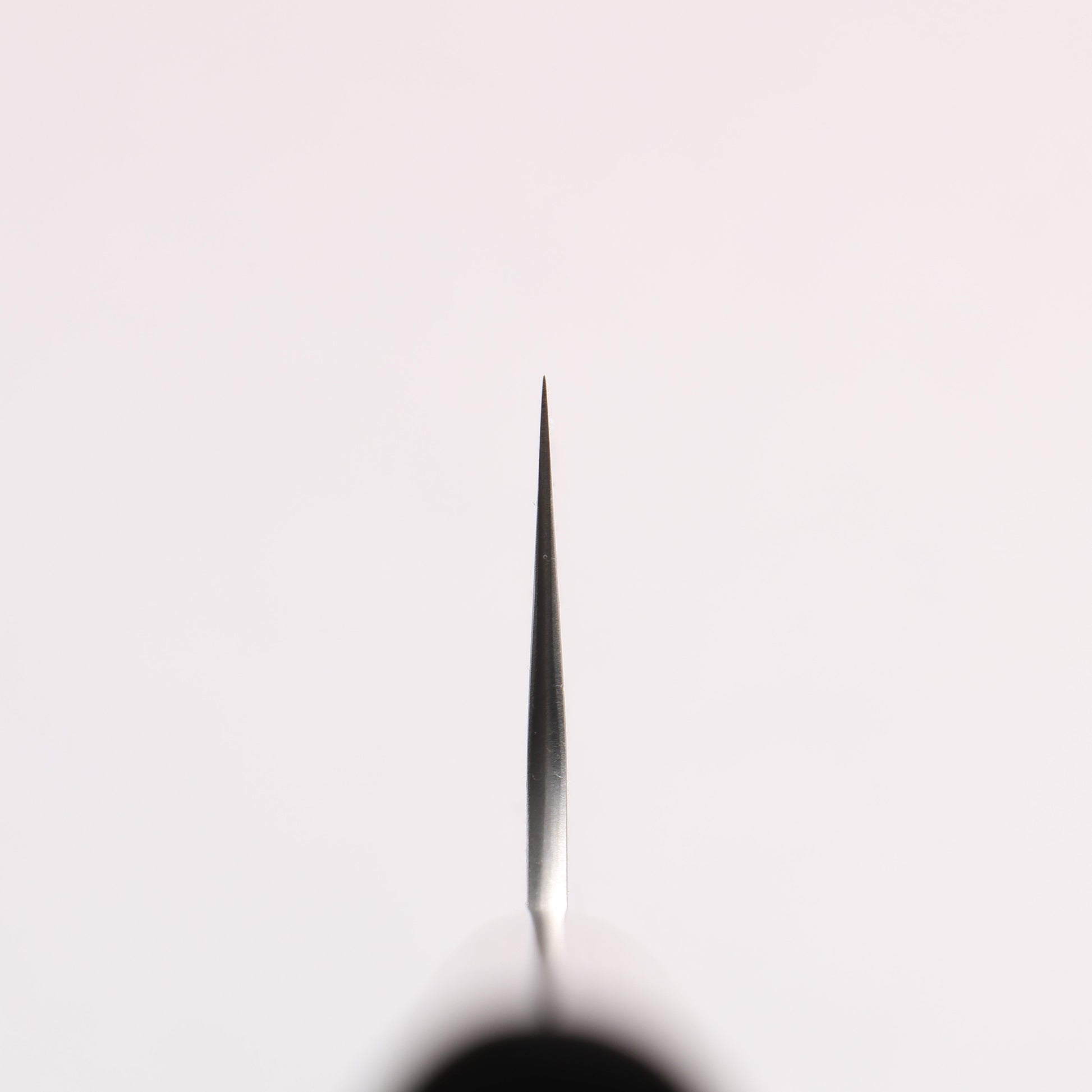 尾形 峻吾 SG2 縦目鎬横 筋引包丁 240mm 紫檀柄 - 清助刃物