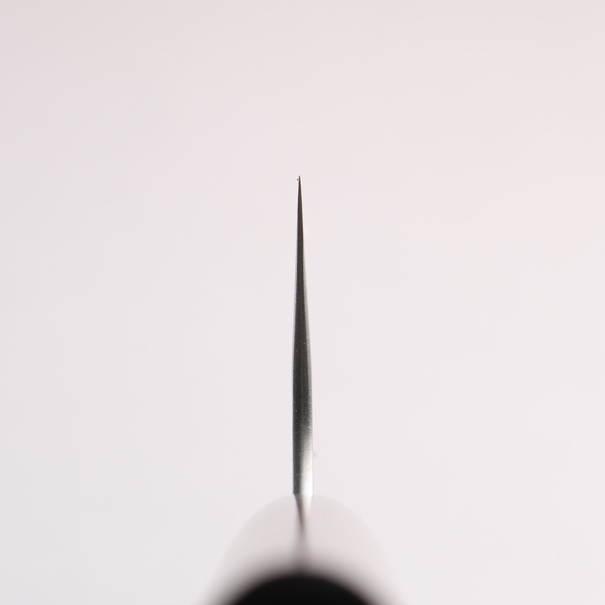尾形 峻吾 SG2 縦目鎬横 文化包丁 180mm 紫檀柄 - 清助刃物