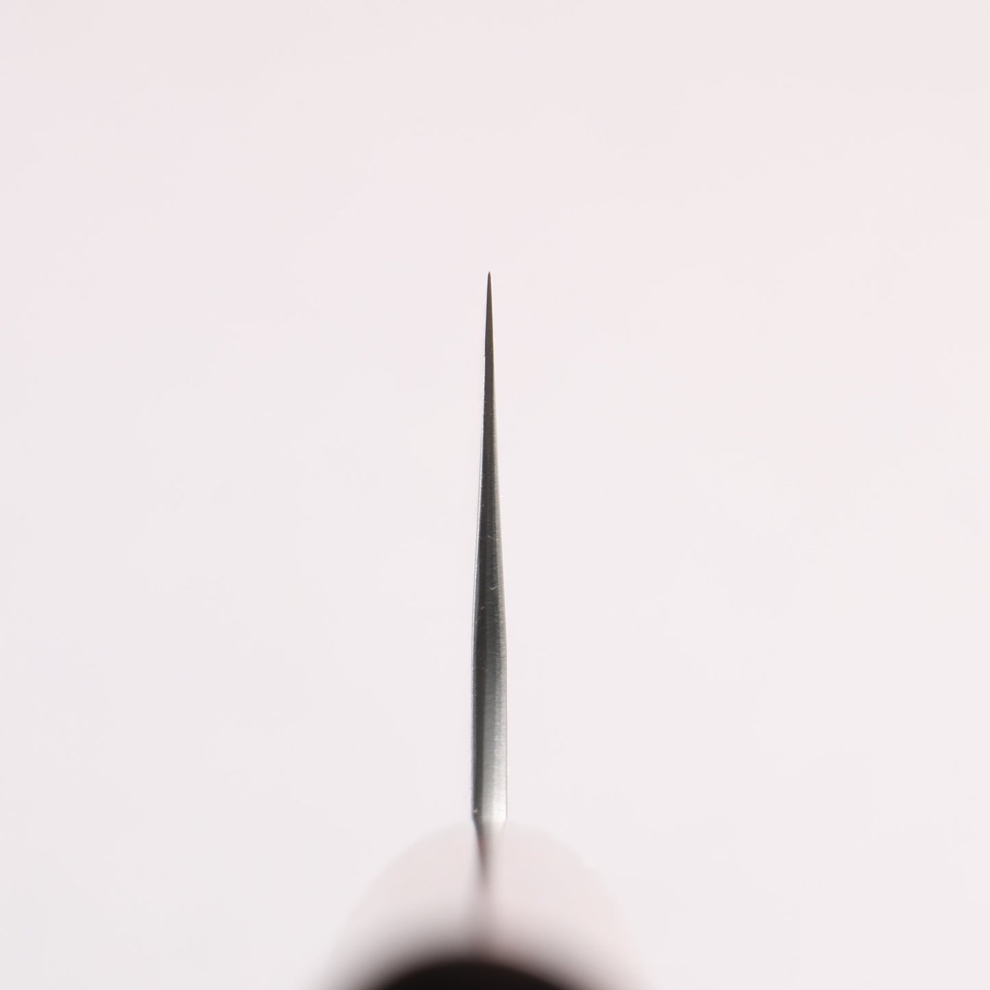 尾形 峻吾 SG2 縦目鎬横 三徳包丁 180mm 紫檀柄 - 清助刃物