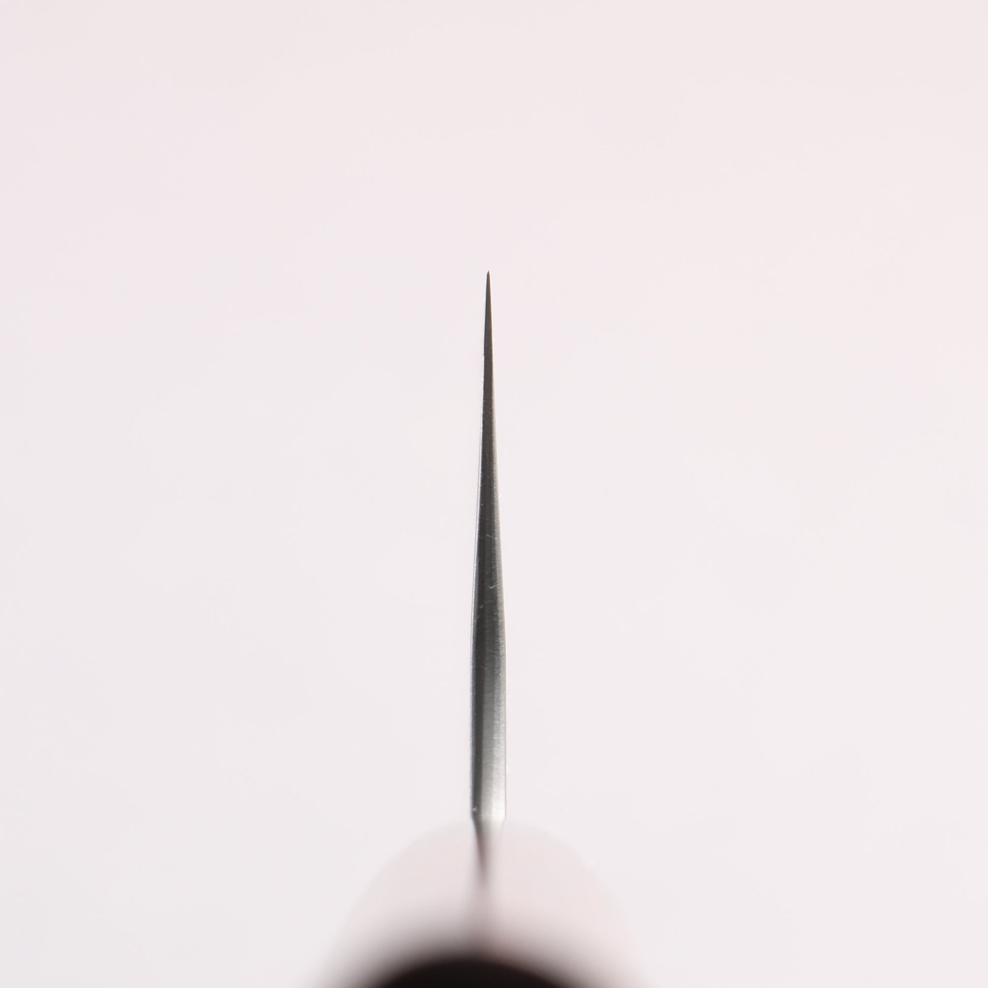 尾形 峻吾 SG2 縦目鎬横 三徳包丁 180mm 紫檀柄 - 清助刃物